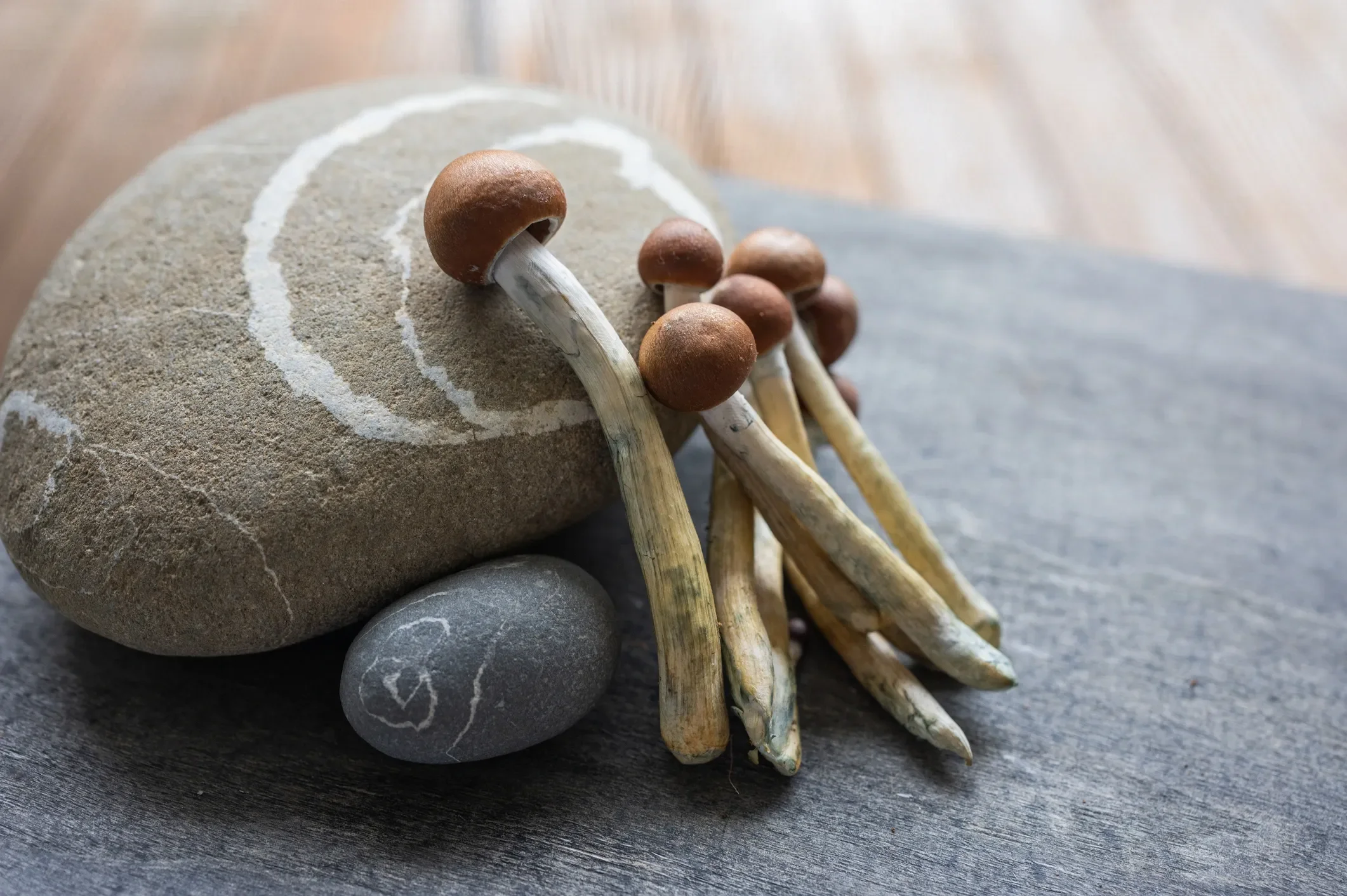 Benefits of Psilocybin .
