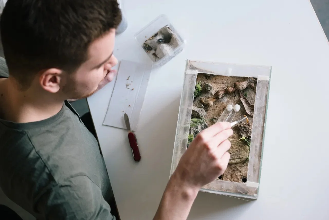 Who Should Microdose Psilocybin?
