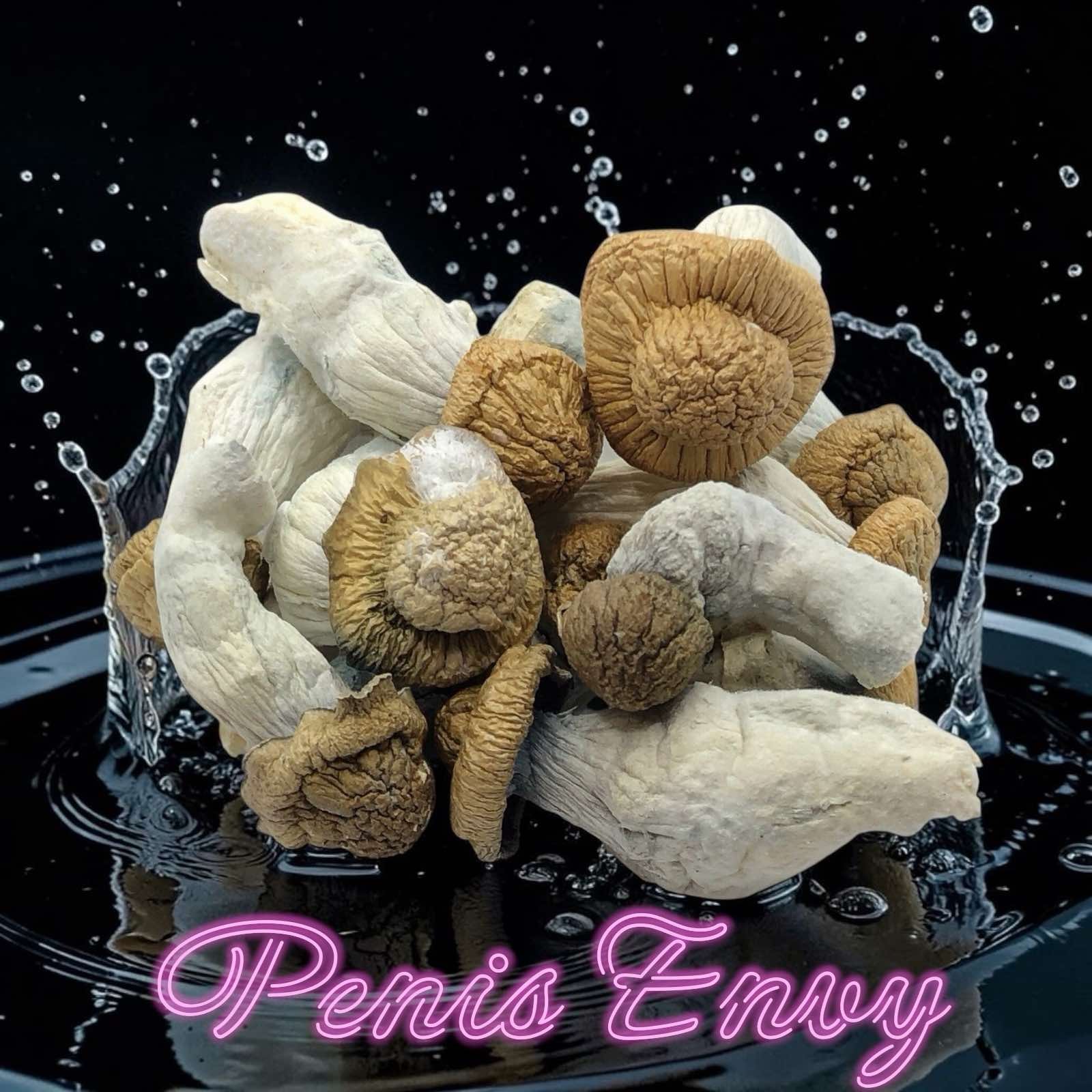 Magic Mushrooms Albino Penis Envy