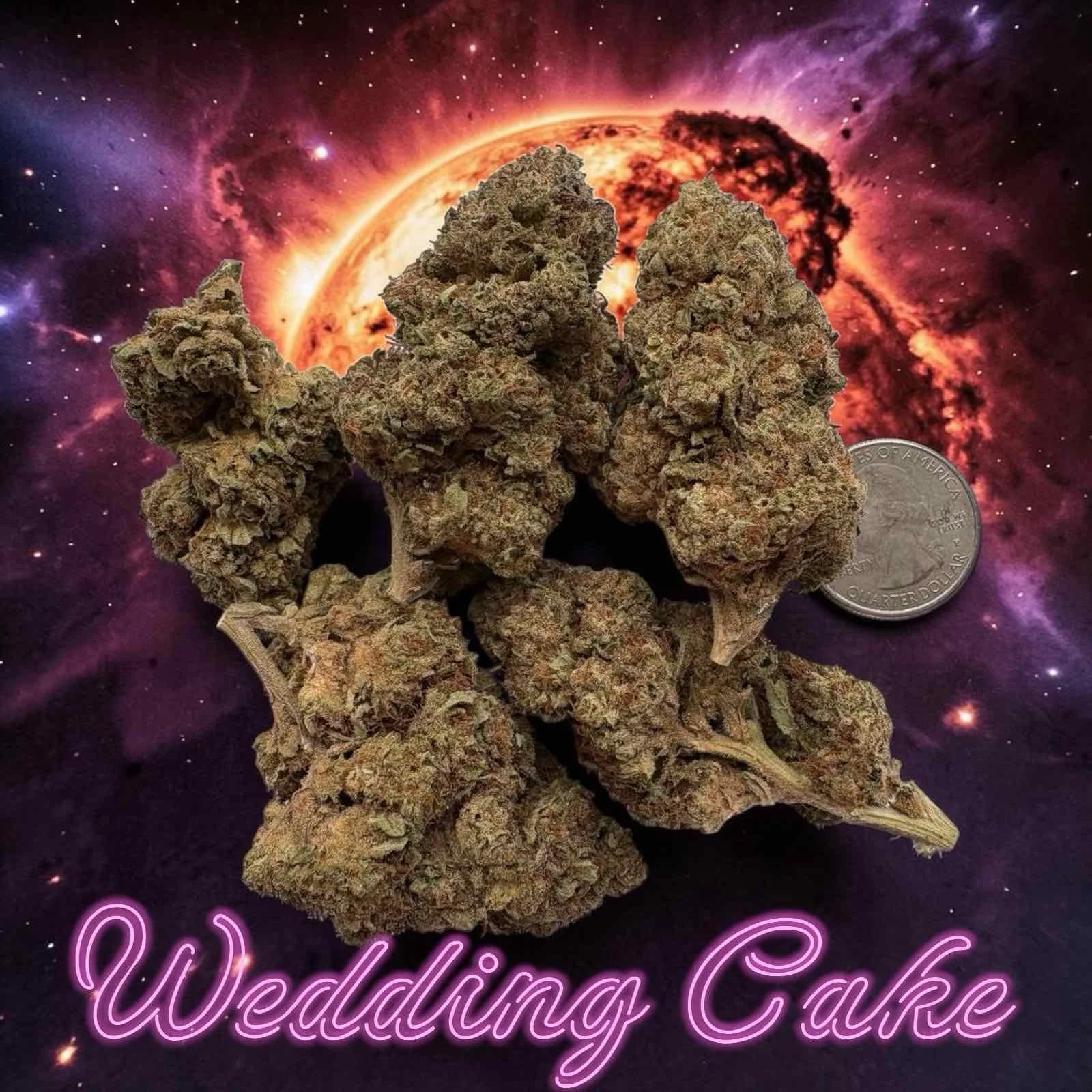 Wedding Cake Premium Cannabis Strain
