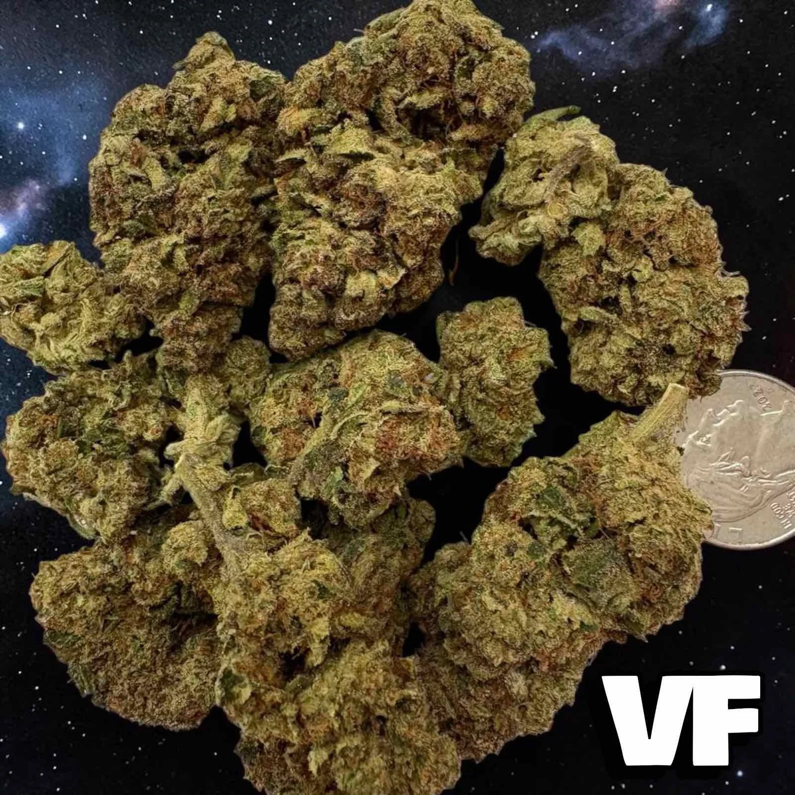 Vanilla Frosting Top Cannabis strain