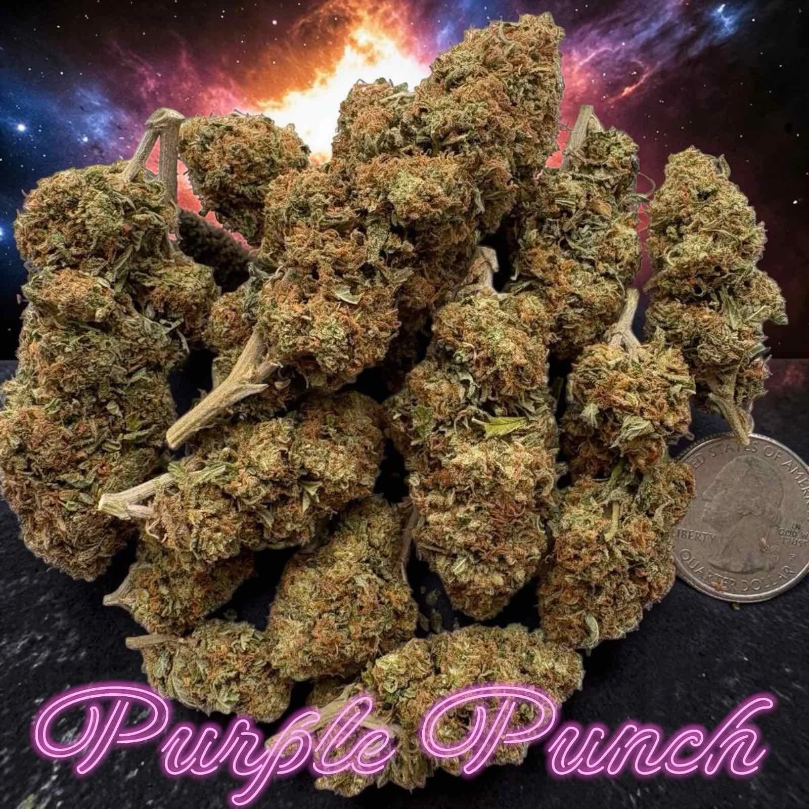 Purple PunchTop Shelf Cannabis Strain