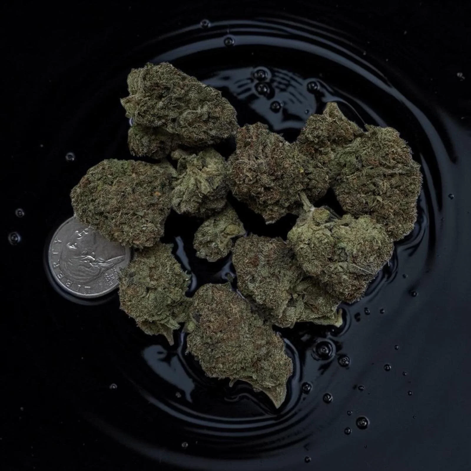 Cereal Milk Top Shelf Cannabis Strain