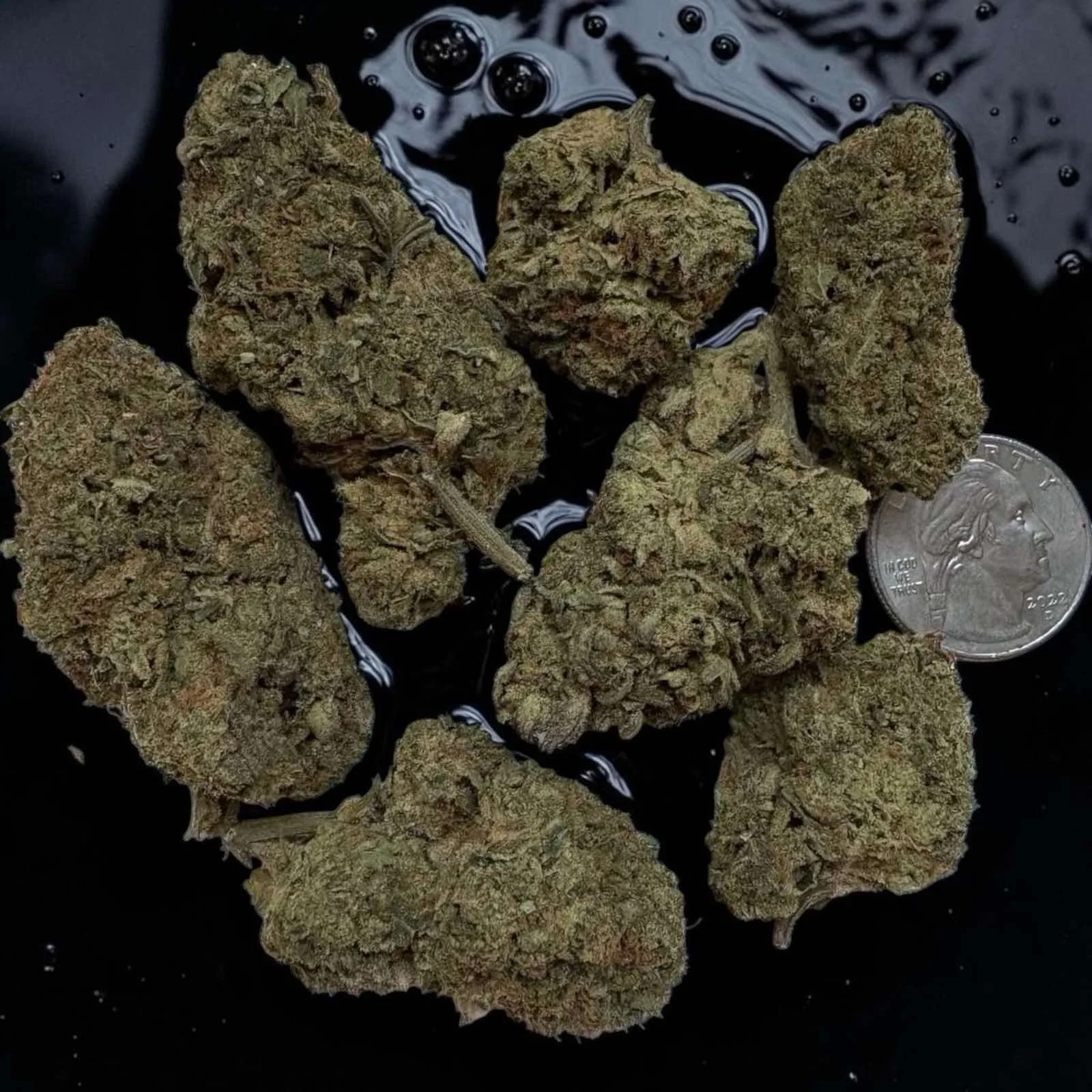OB Ripper Premium Cannabis Strain