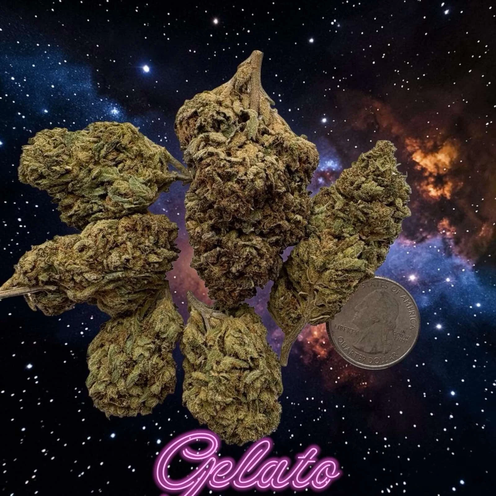 Gelato Premium Cannabis Strain
