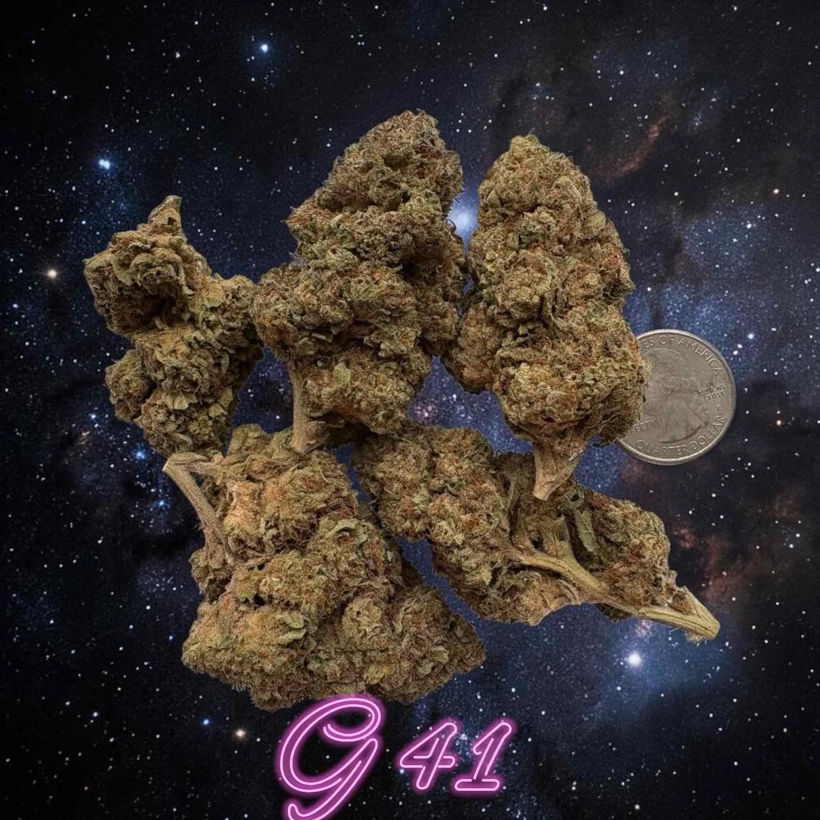 G41 Premium Exotic Cannabis Strain