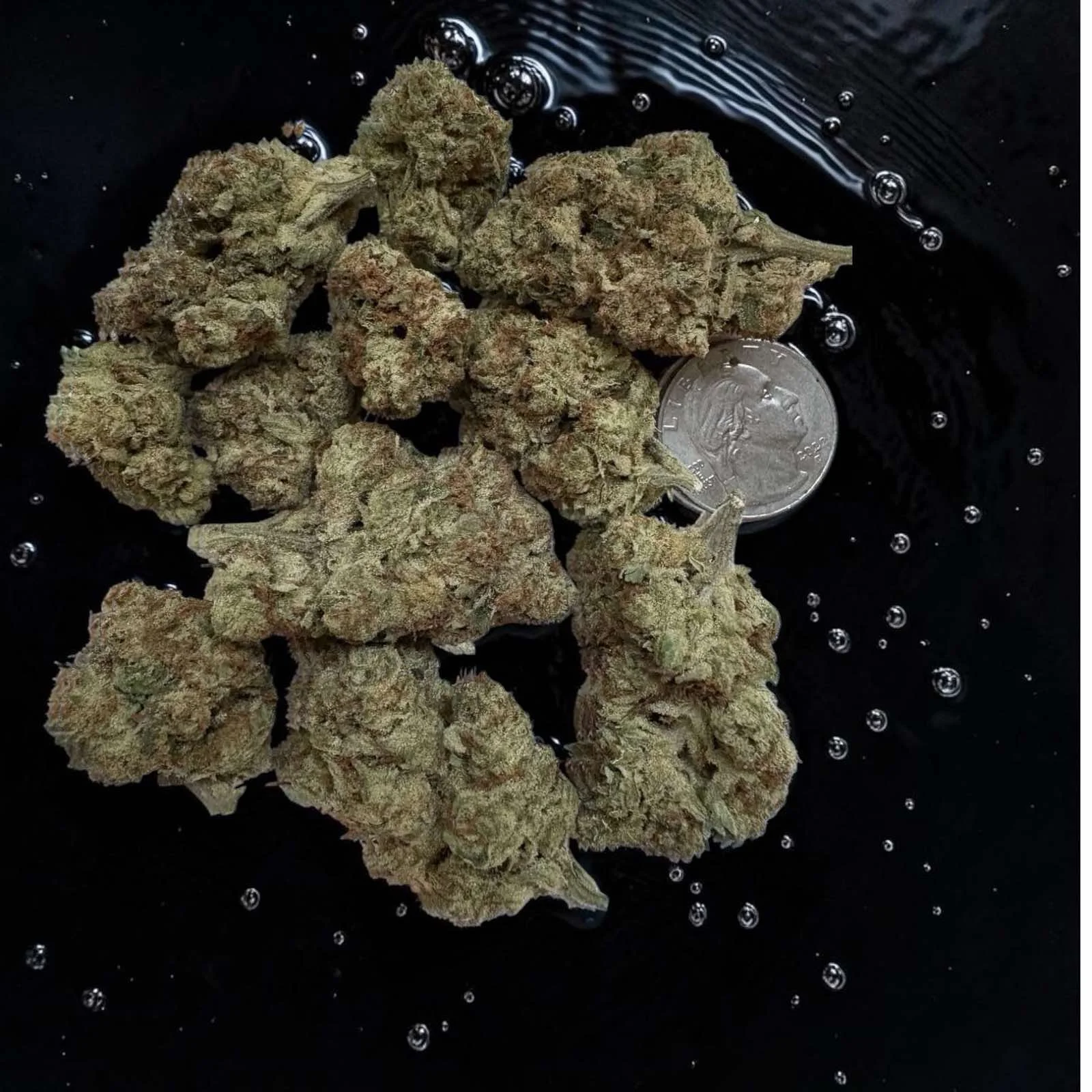 Purple Punch Premium Cannabis Strain