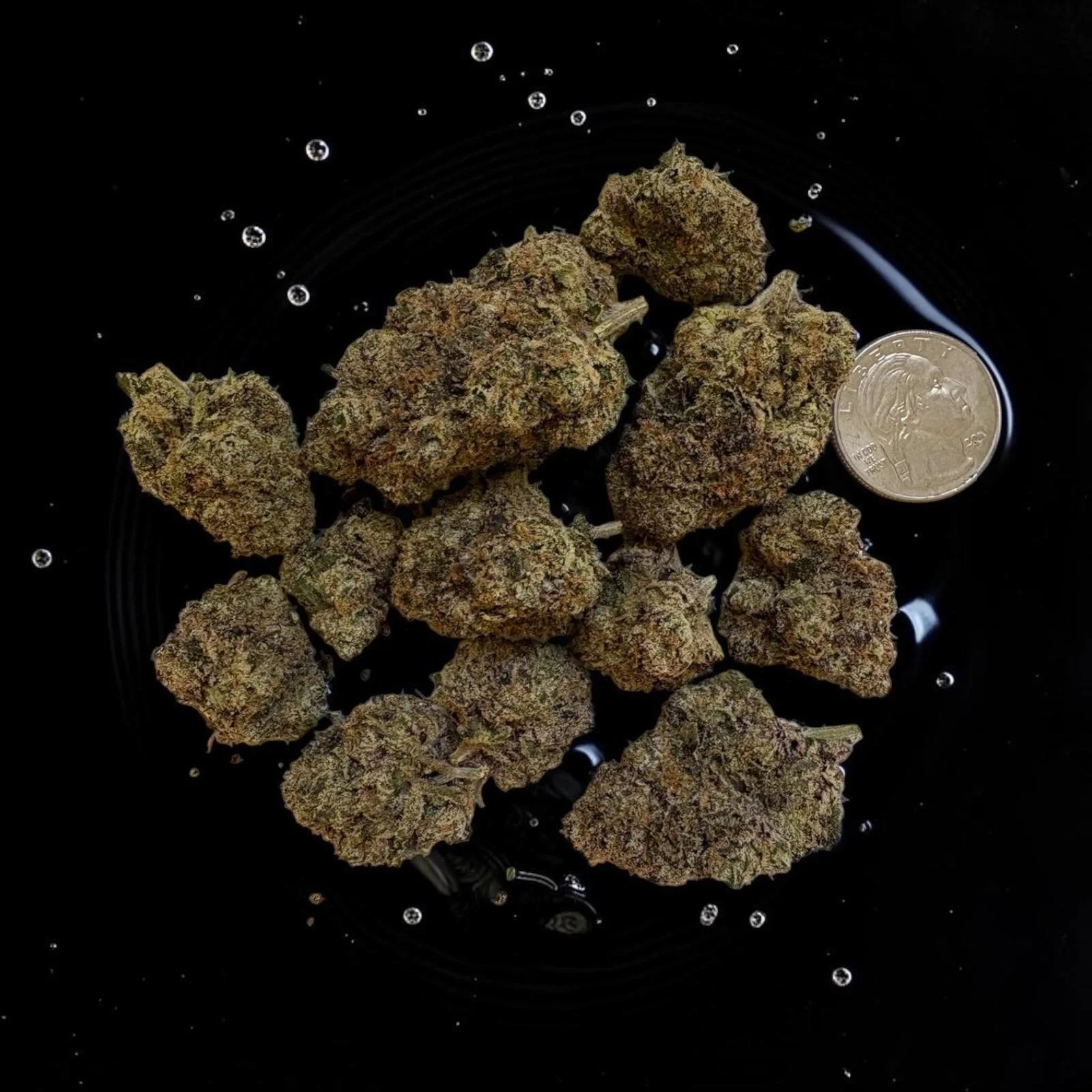 Zaza Cherry Exotic Strain Flower