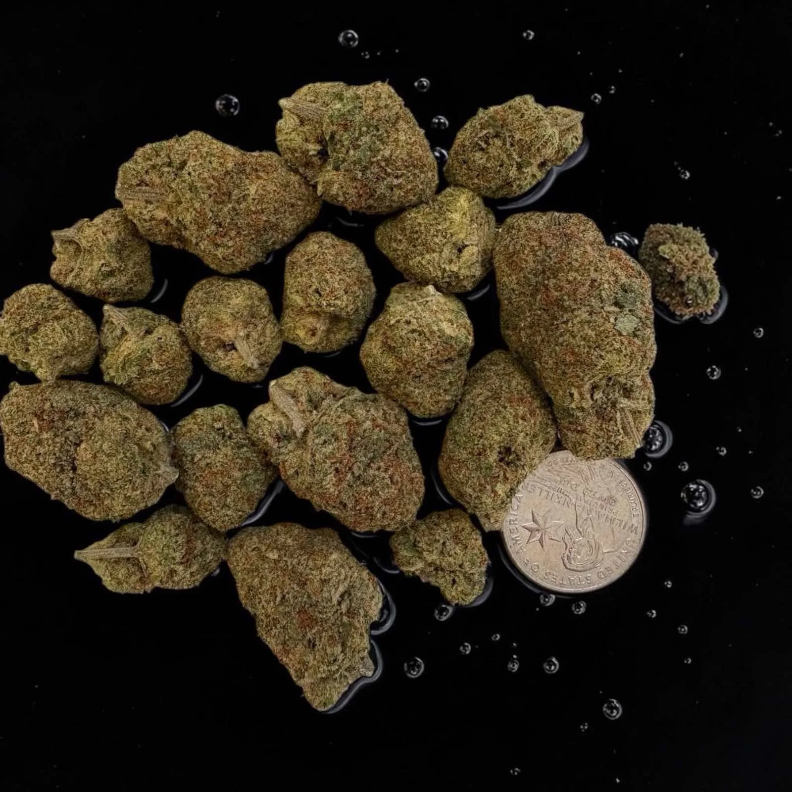 Trop Cherry Premium Cannabis Strain