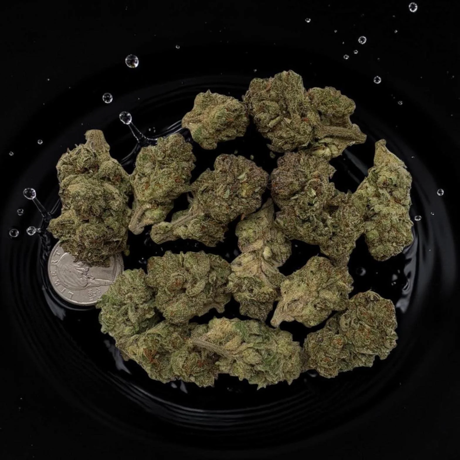 Garlic Cookies Top Cannabis Strain