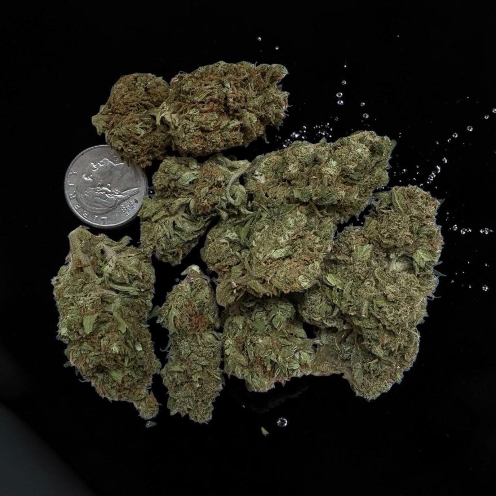 Valley Runtz Top Shelf Cannabis Strain