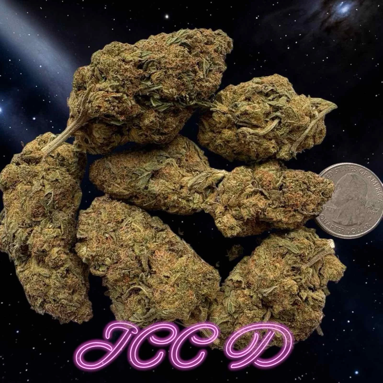 ICC D Premium Cannabis Strain