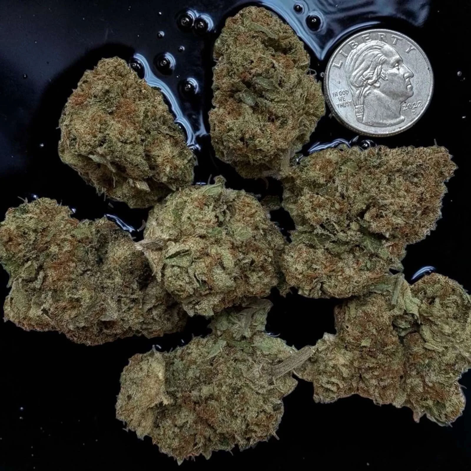 Valley Fog Premium Top Cannabis Strain