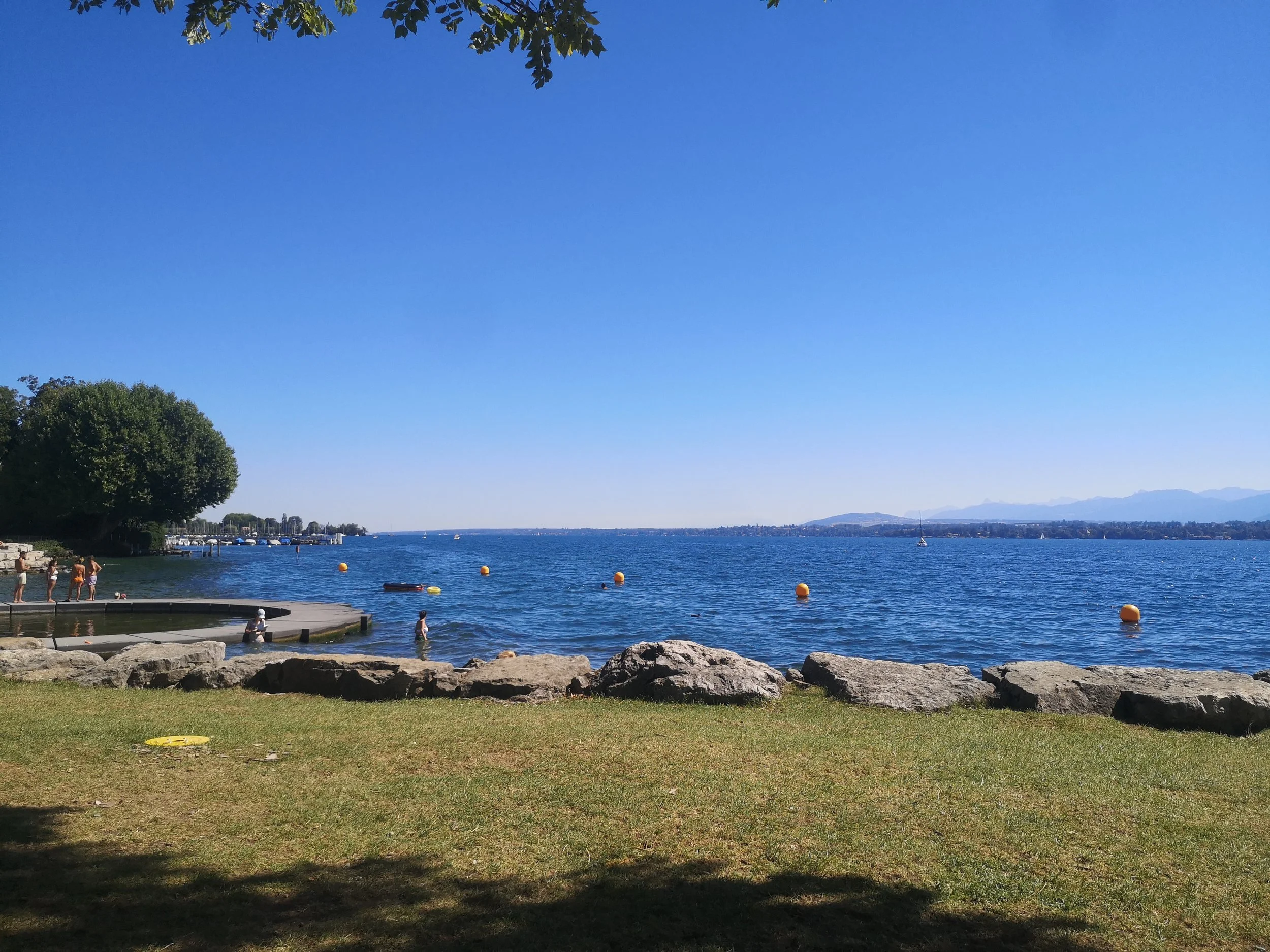IMG_20220813_113433.jpg