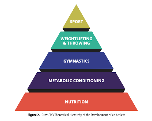 Protein: Why It Matters, How Much You Need, and What to Eat