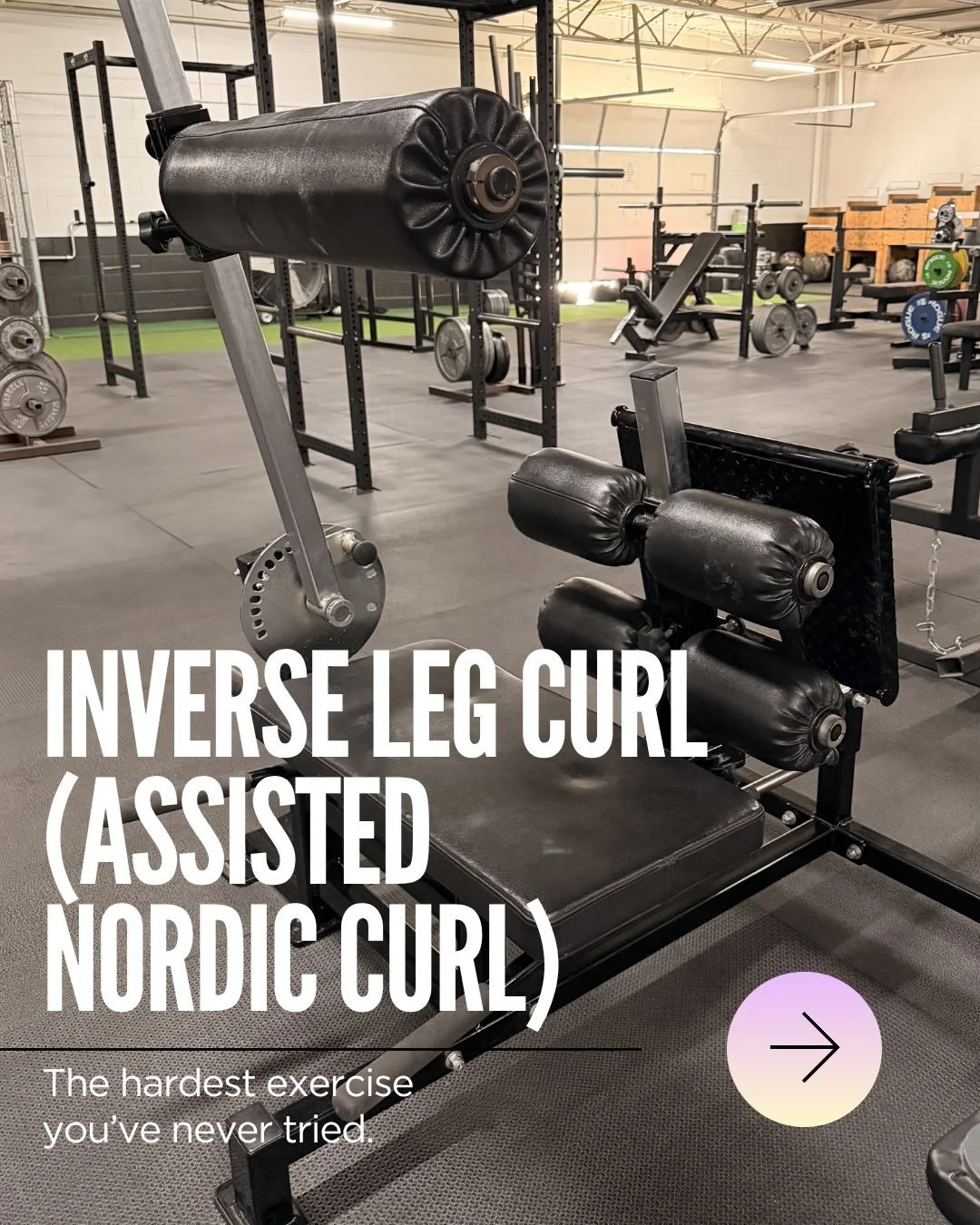 This one was in high demand! So here it is - the Inverse Leg Curl, or also called an Assisted Nordic Curl machine.

Nordic curls are one of the hardest bodyweight hamstring exercises out there. Most people can&rsquo;t do one through a full range of m