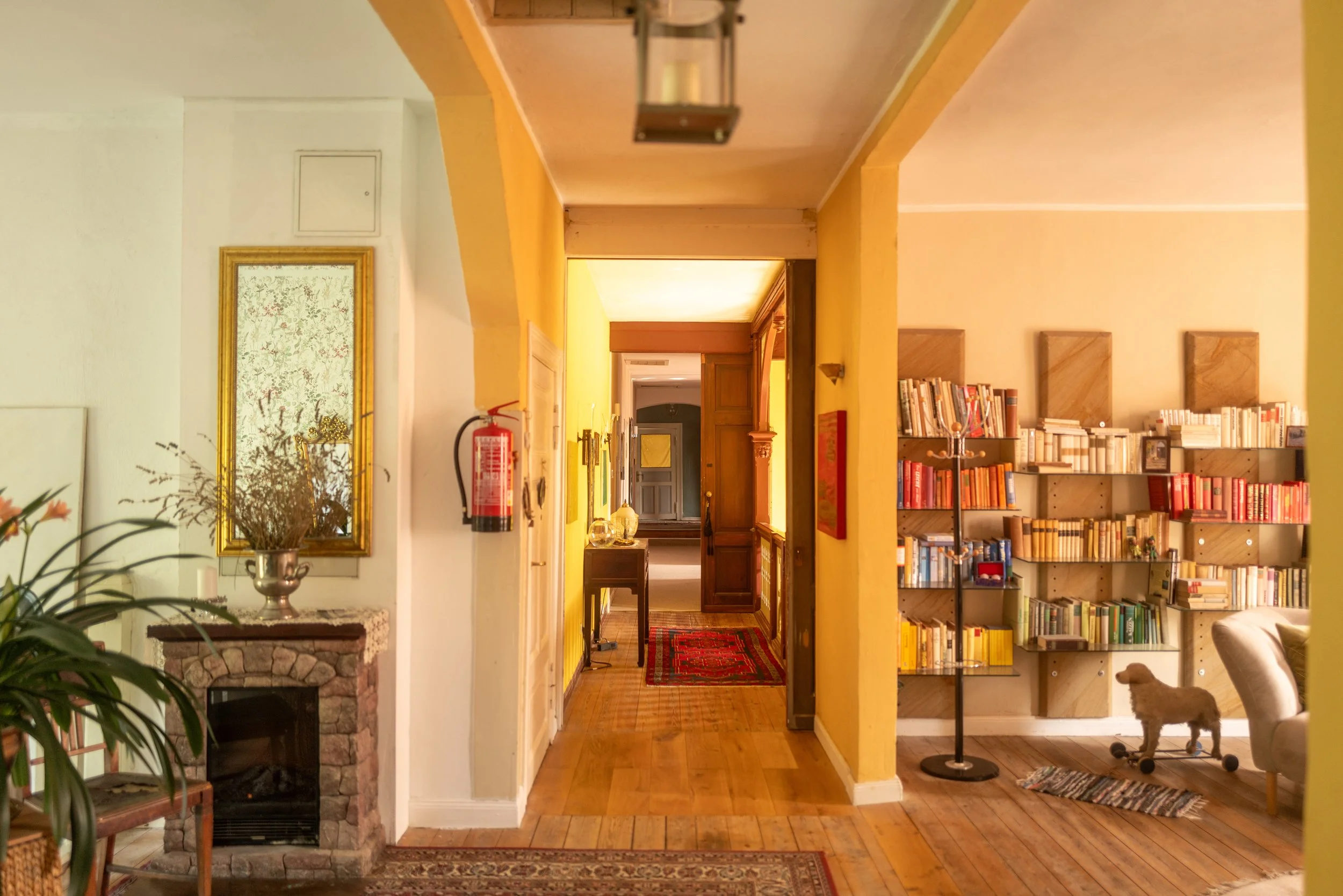 Ein Blick in einen Flur und ein Wohnzimmer mit mehreren Bücherregalen, einem Kamin und einem kleinen Hund auf einem Teppich.