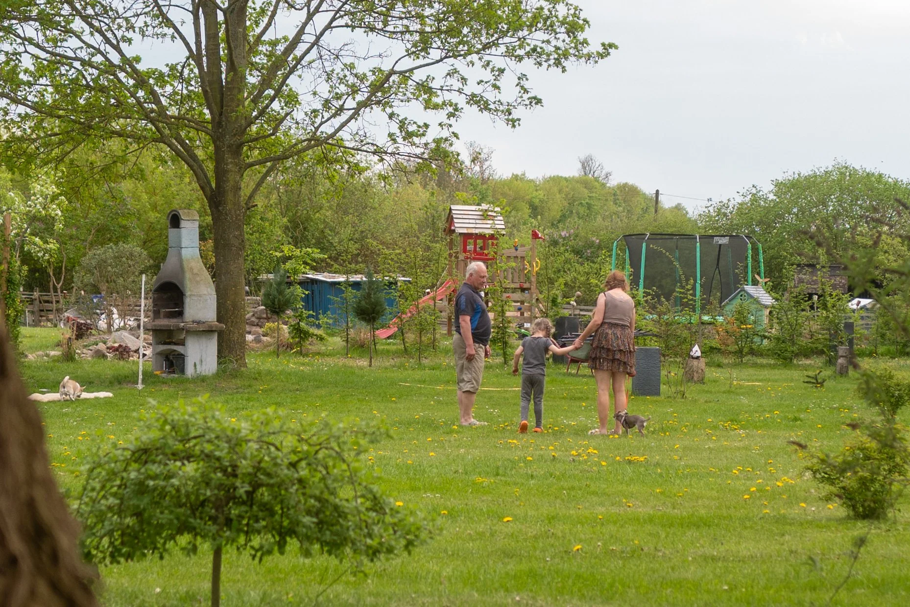 Familie im Garten, Kinder und Erwachsene, Natur, Spielzeug, Bäume, Wiese, Trampolin, Grill, Spielhaus, Hund, with a large tree in the foreground and a play area in the background.