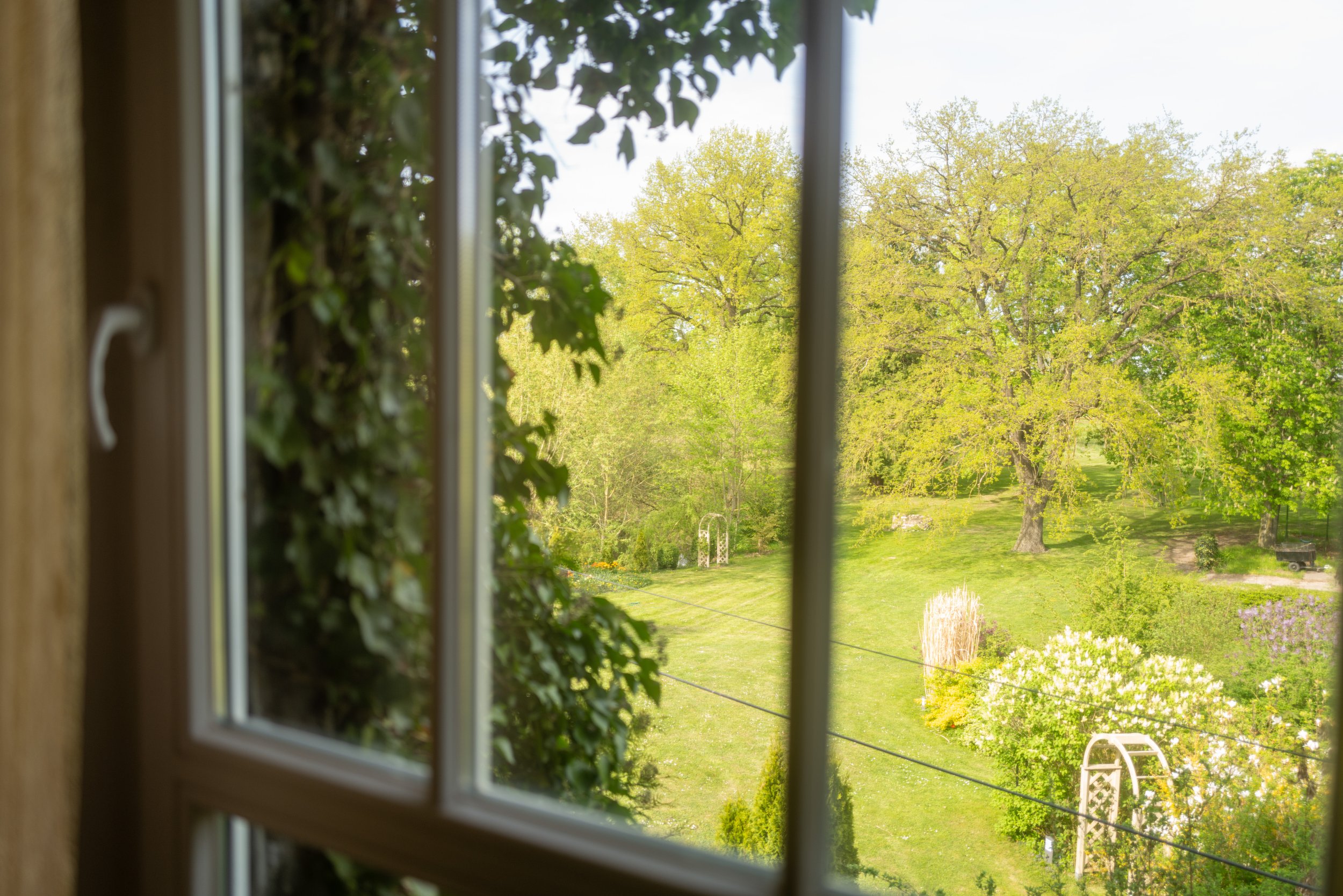 Der Blick aus einem Fenster auf einen großen grünen Garten mit Bäumen, Rasen und Gartenmöbeln an einem sonnigen Tag.