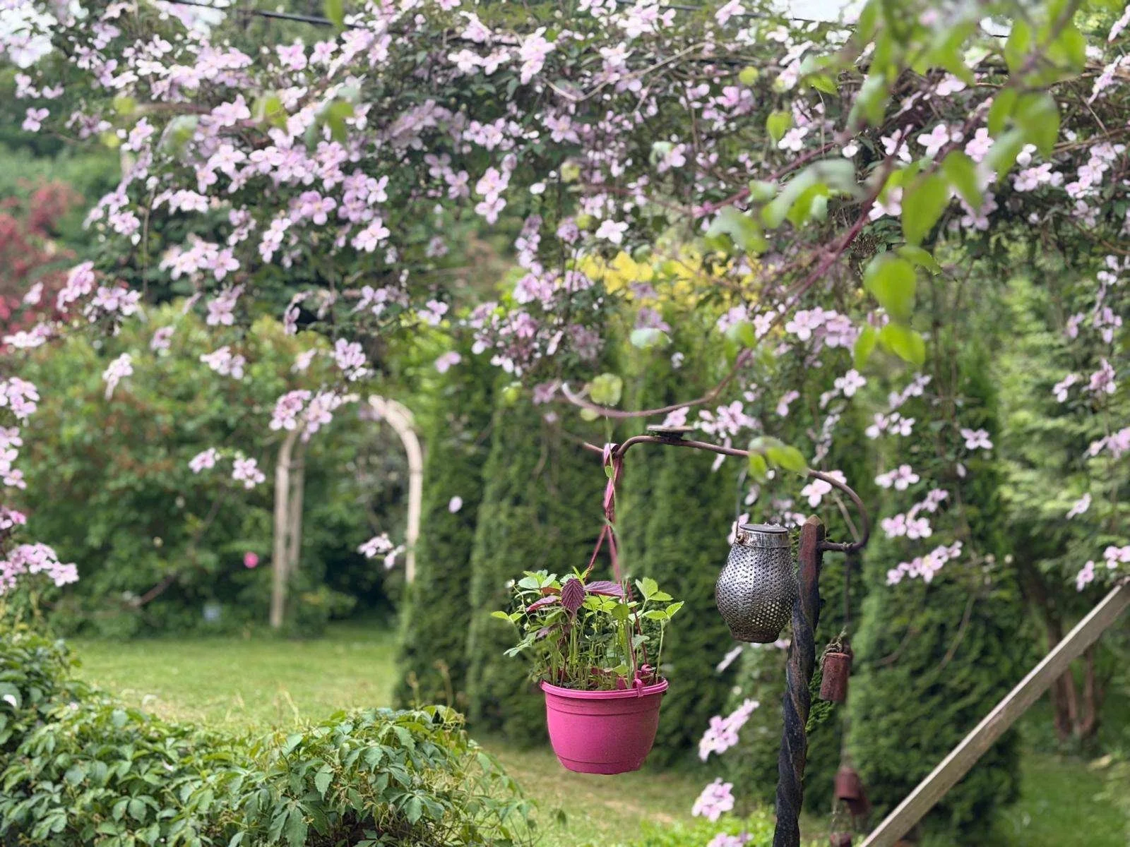 Garten mit Hängekorb voller Pflanzen, bunte Blumen im Hintergrund, grüne Bäume und Sträucher, ein Lianenbaum, und eine Gartenbank im Hintergrund.