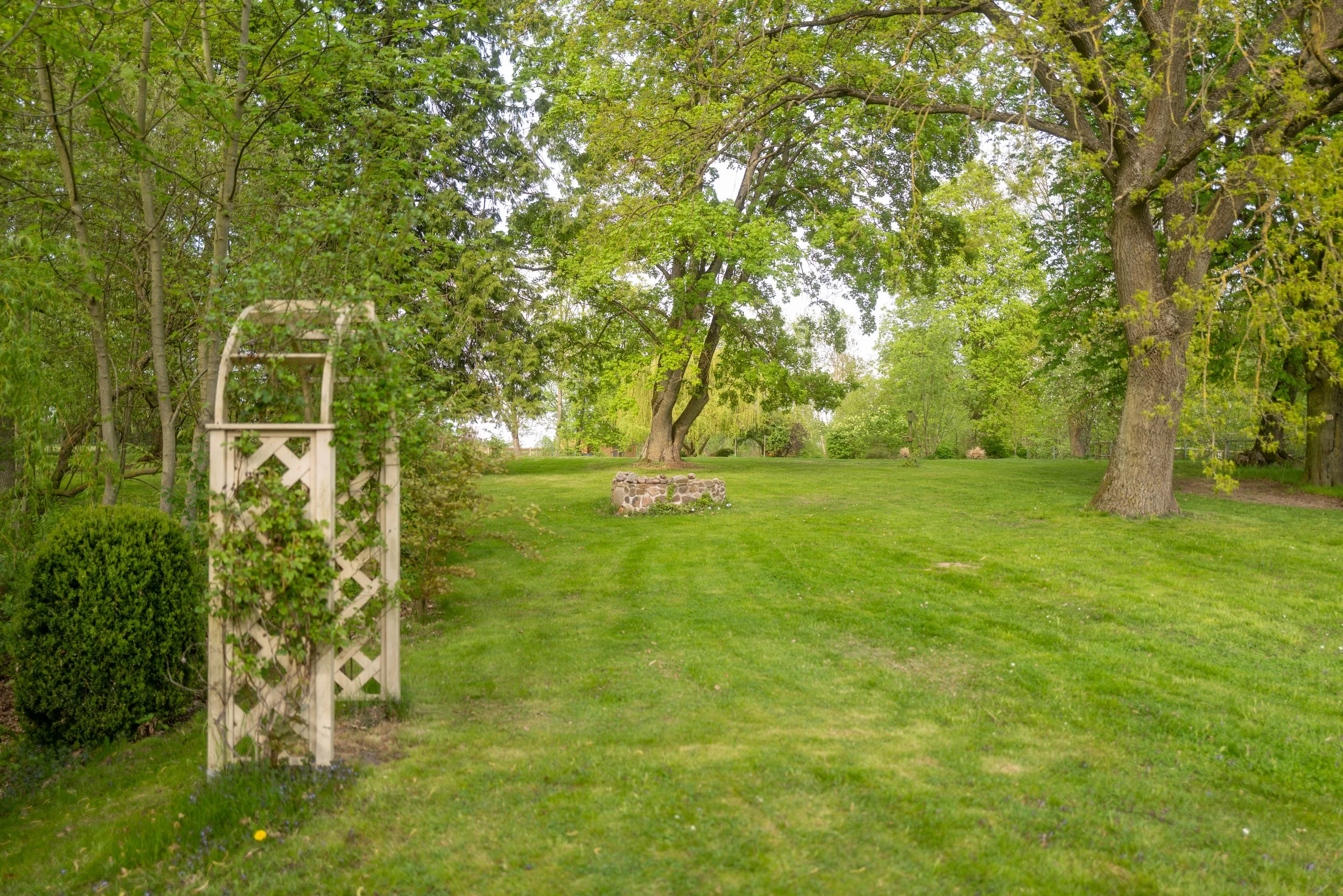Ein gepflegter Garten mit grünen Rasen, großen Bäumen und einer kleinen Umfriedung aus Steinen in der Mitte. Es gibt ein Gartentor aus Holz im Vordergrund links, von Büschen umgeben.