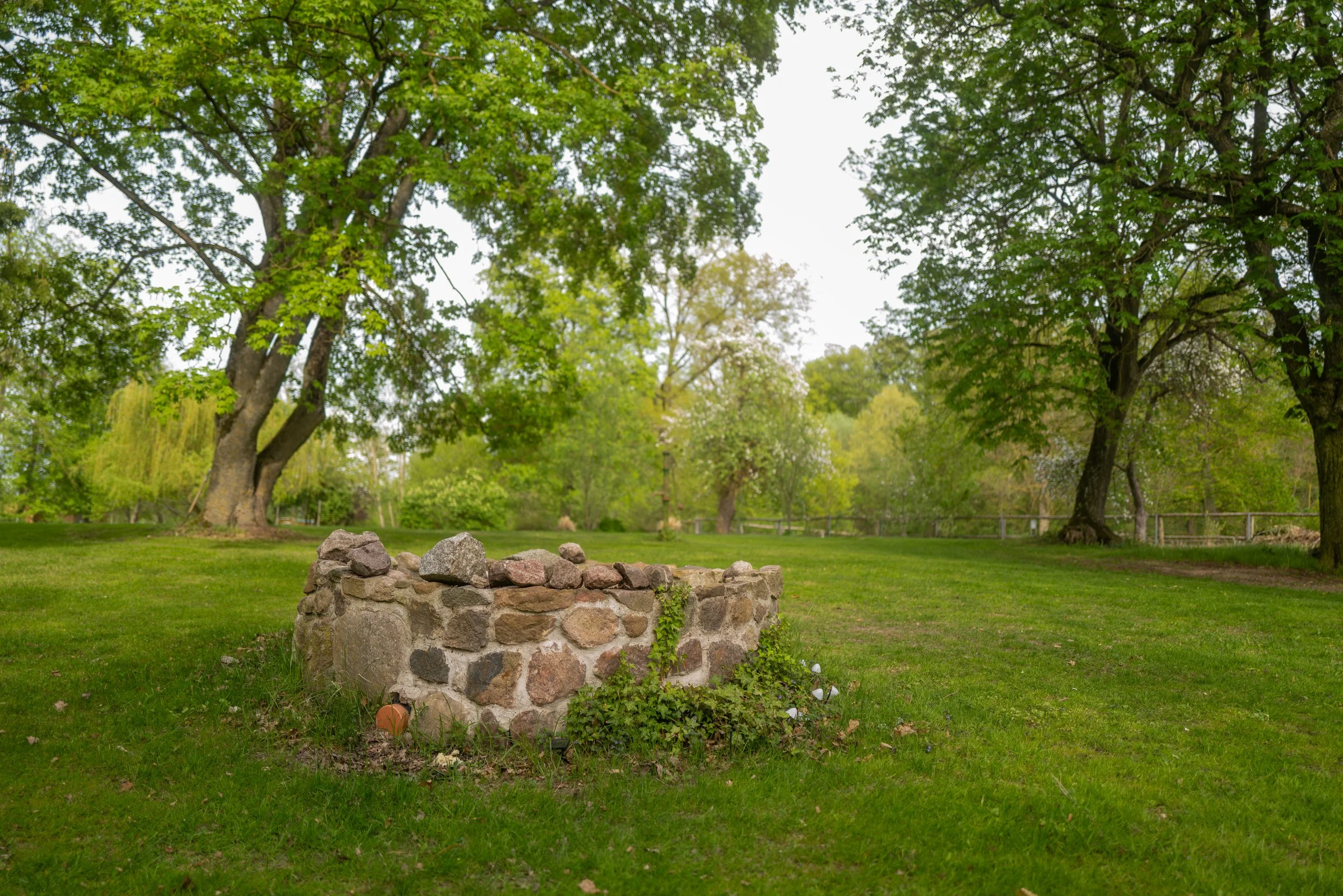 Grüner Park mit großen Bäumen, einer niedrigen Mauer aus Steinen im Vordergrund und einem Rasen.