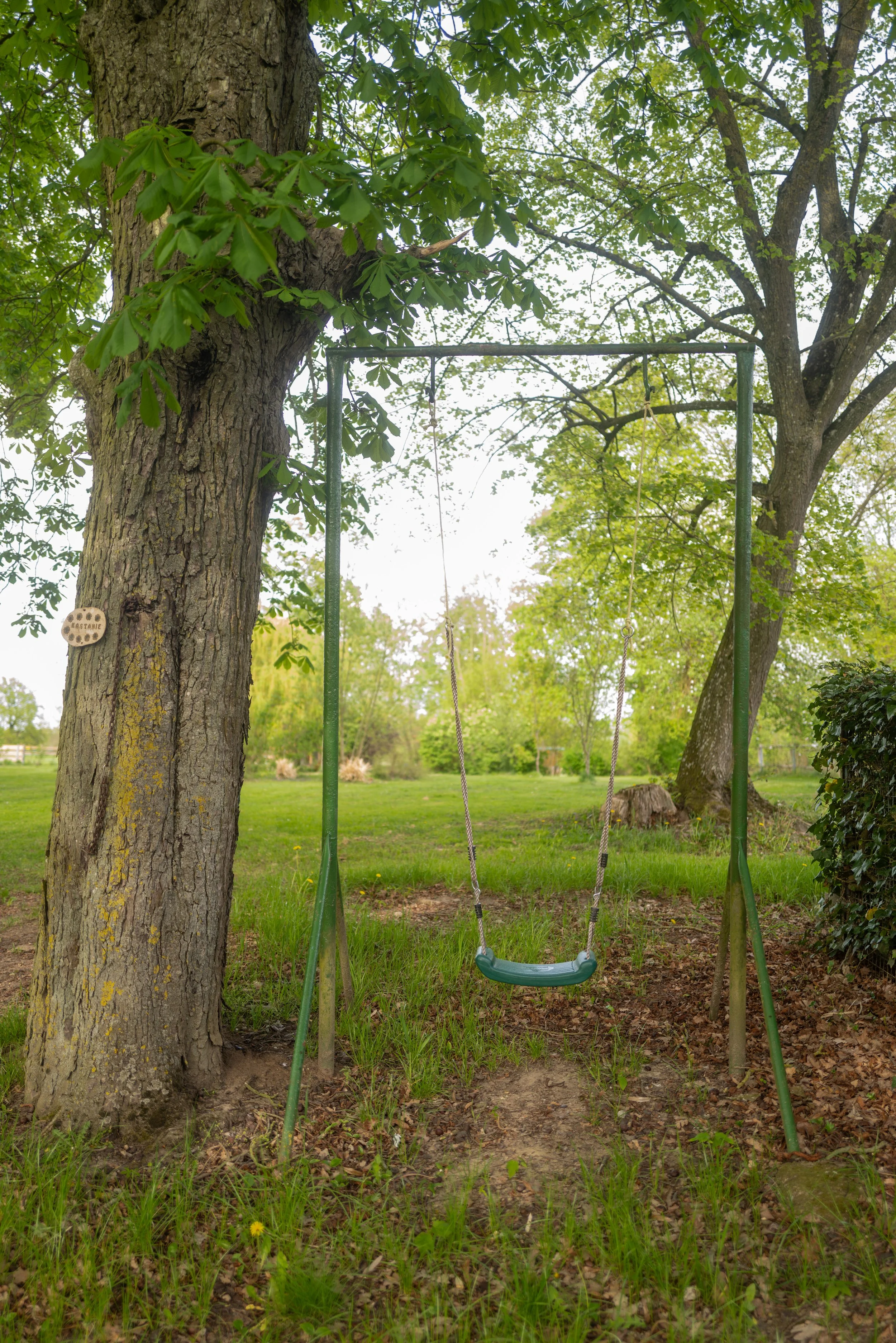 Ein Schaukelsitz in einem Park, befestigt an einer Metallrahmen, umgeben von Bäumen mit grünen Blättern.