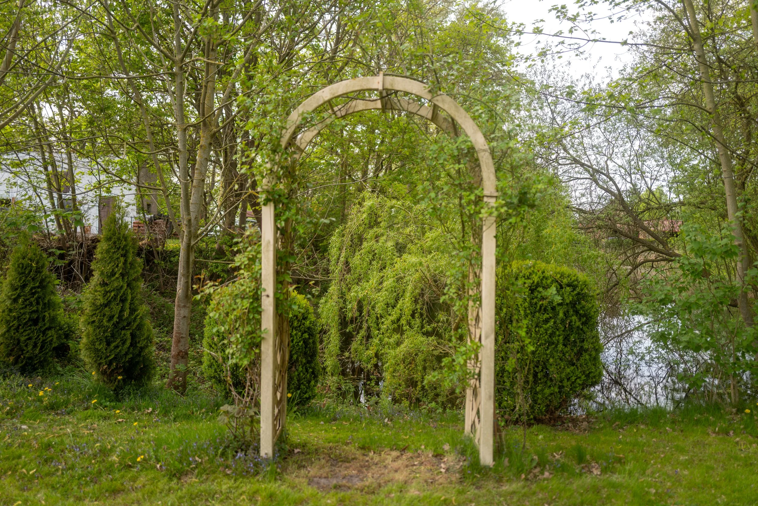 Ein Garten mit einem weißen Holzbogen, umgeben von grünen Bäumen und Sträuchern.