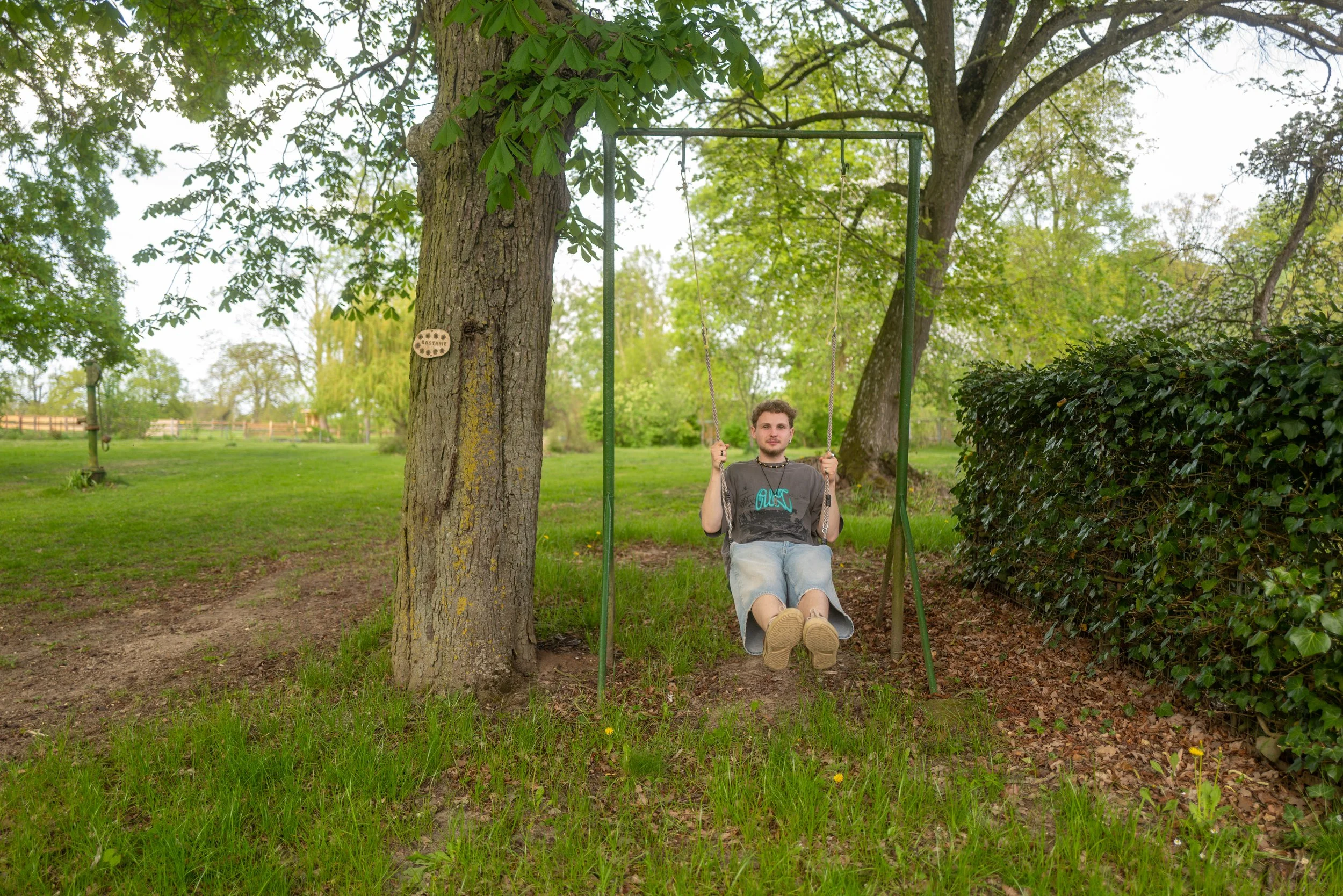 Junge Person sitzt auf einer Schaukel im Park, umgeben von Bäumen und Sträuchern, bei sonnigem Wetter.
