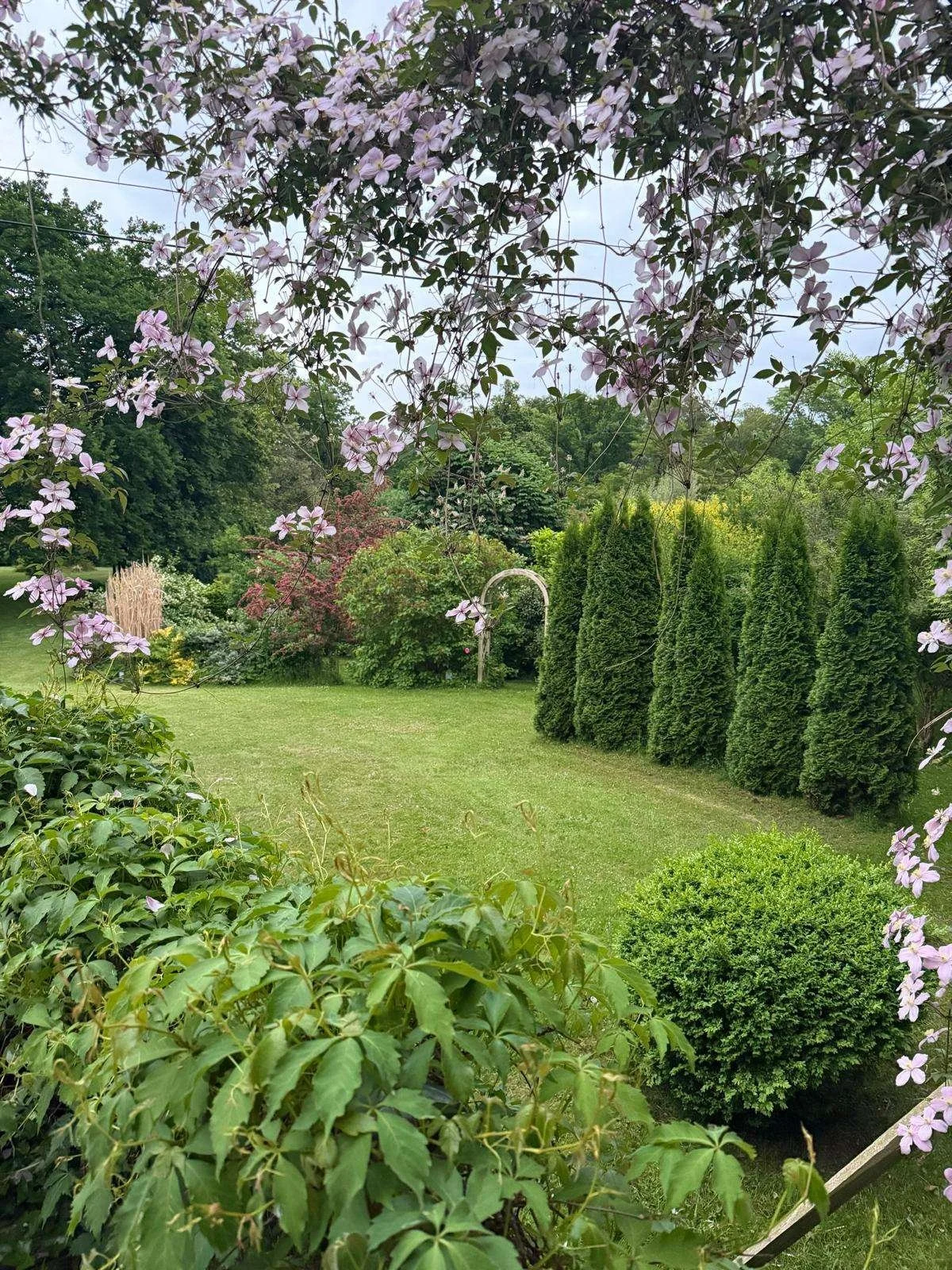 Grüner Garten mit Bäumen, Kletterpflanzen, Coniferenhecken und einem Rasen. Im Hintergrund ist ein Gartenbogen und der Himmel ist bewölkt.