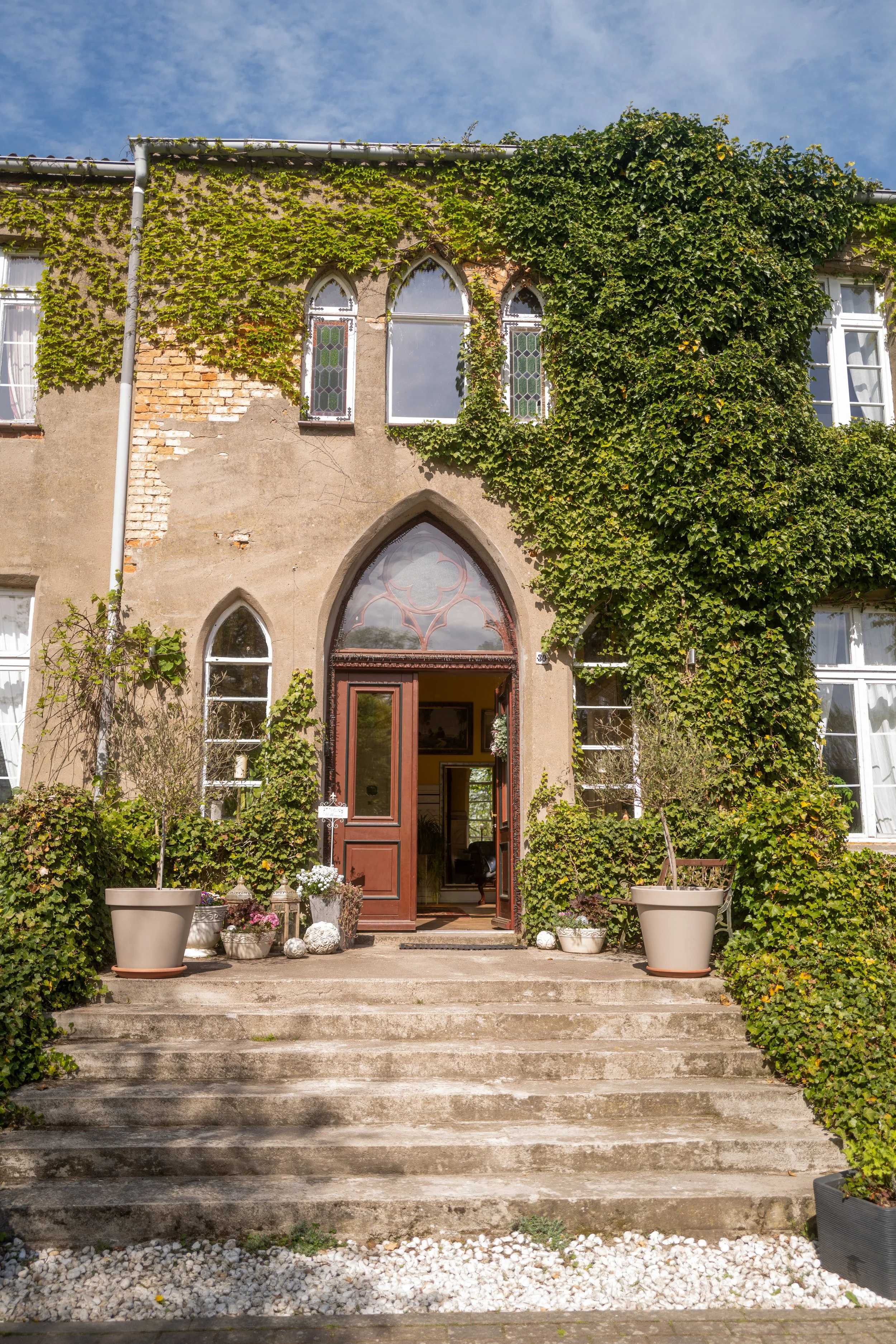 Eingangsbereich eines Hauses mit mehreren Schritten, Topfpflanzen und Gehweg vor der Tür, das Haus ist teilweise mit grünen Weinreben überwachsen.