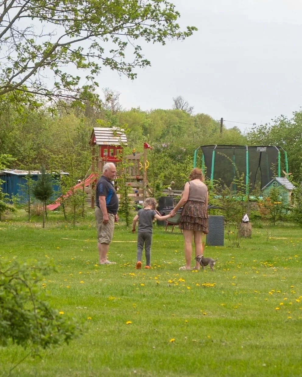Drei Menschen und ein Hund auf einem grünen Rasen im Garten mit Spielplatz im Hintergrund, Bäume und kleine Sträucher, Wolkenverhangener Himmel.