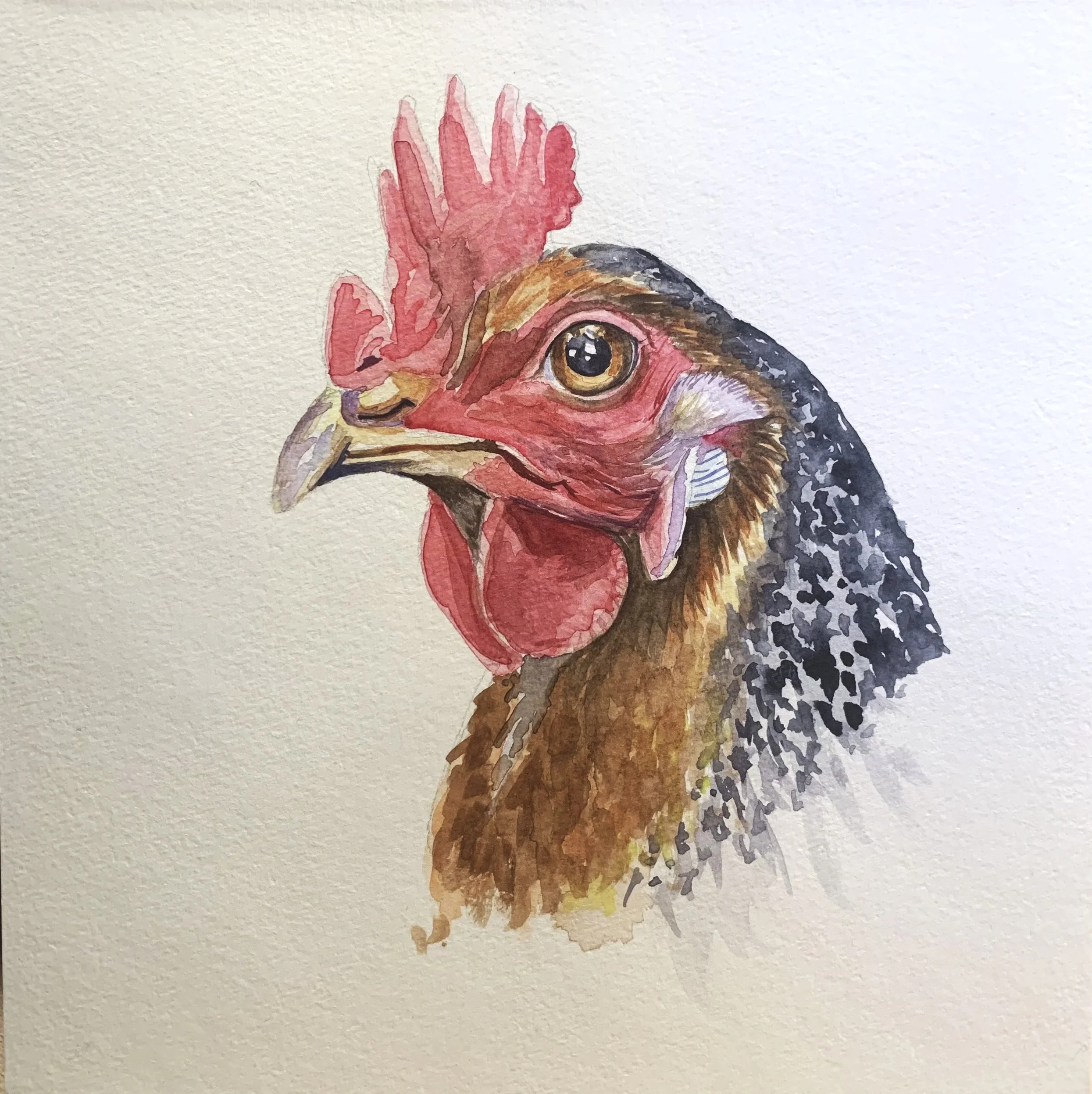 Bertha | 8" x 8" Watercolor
