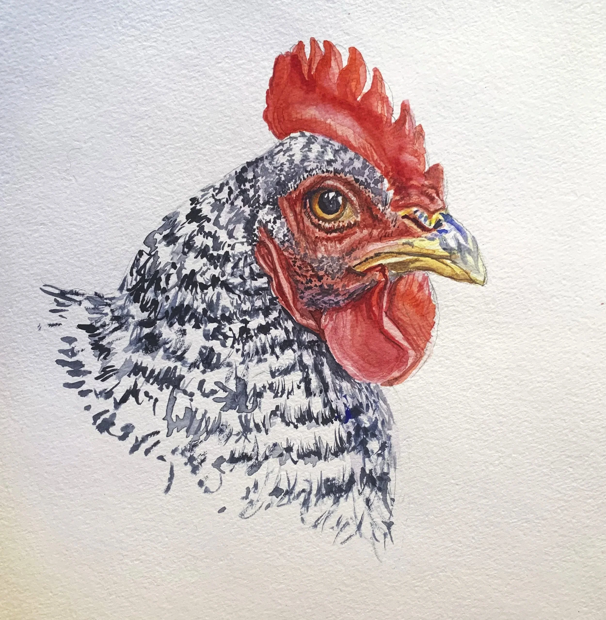 Delilah | 8" x 8" Watercolor