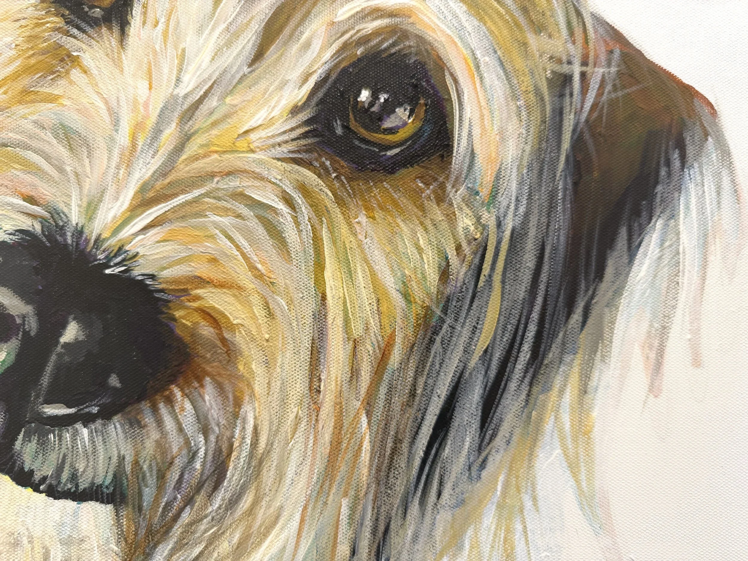 Sadie Whiskers | Detail View