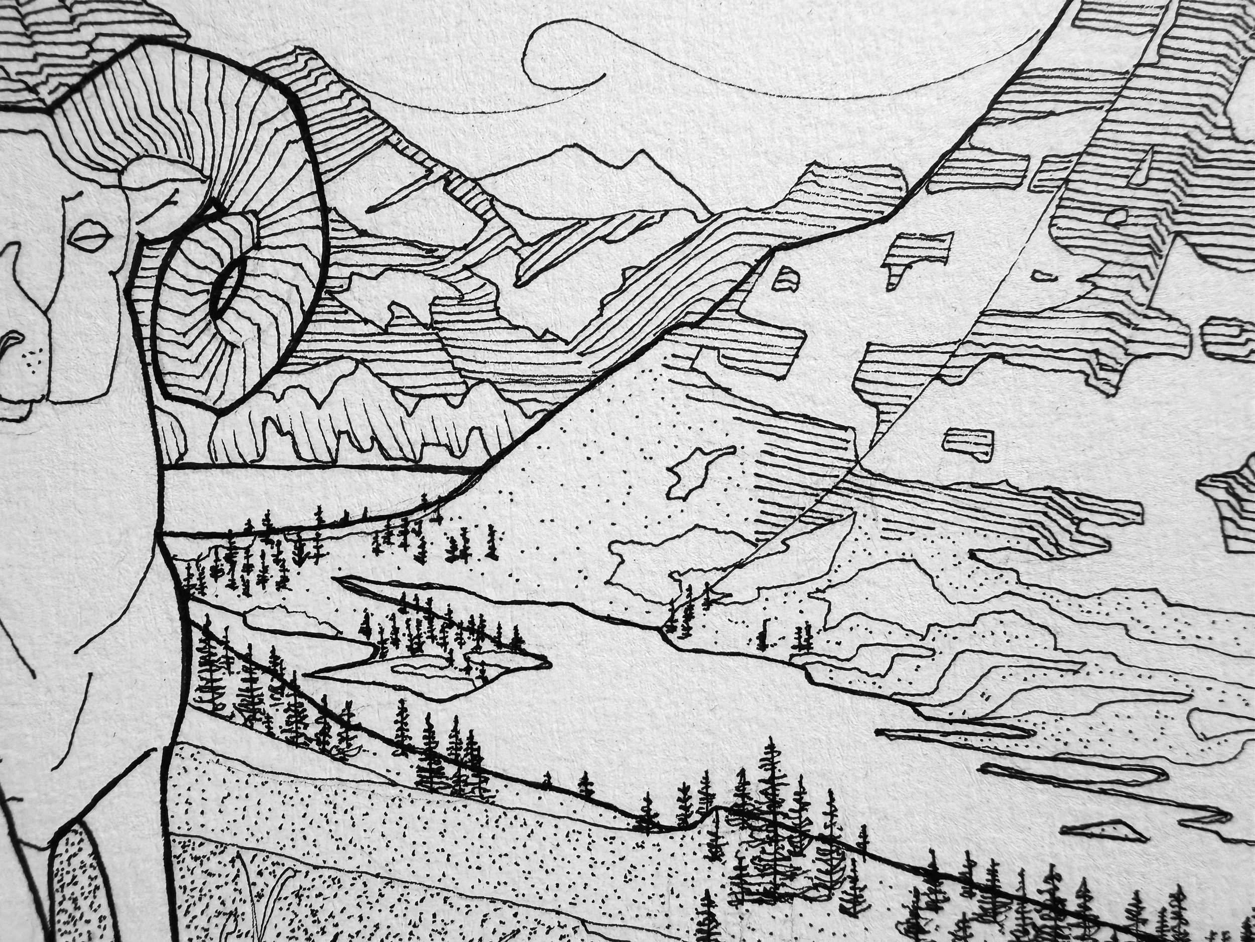 Glacier National Park | Detail View