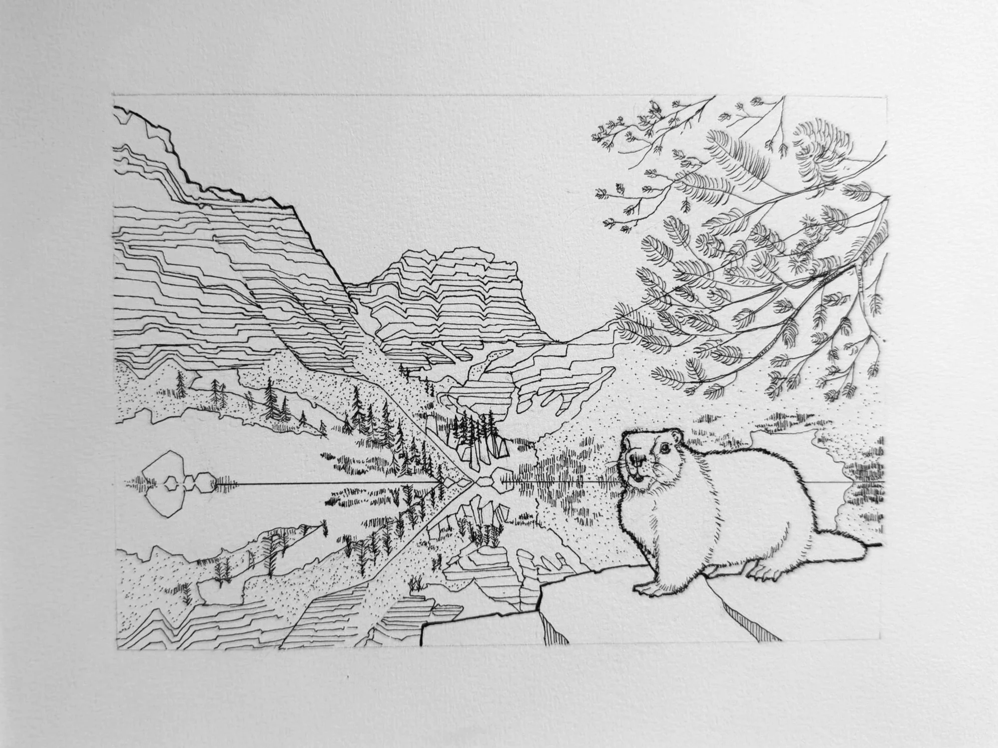 Rocky Mountain National Park | 9" x 7" Ink