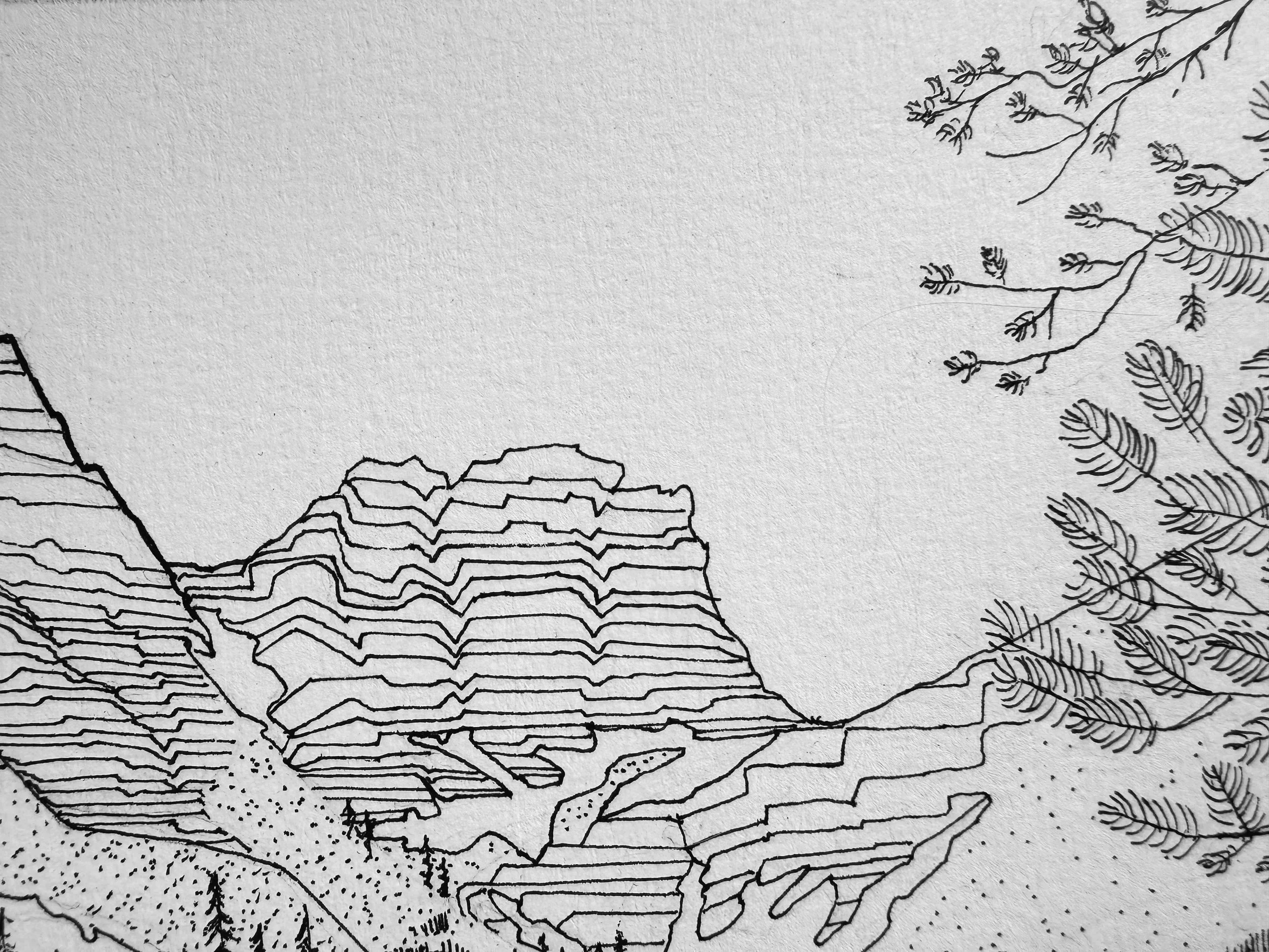 Rocky Mountain National Park | Detail View