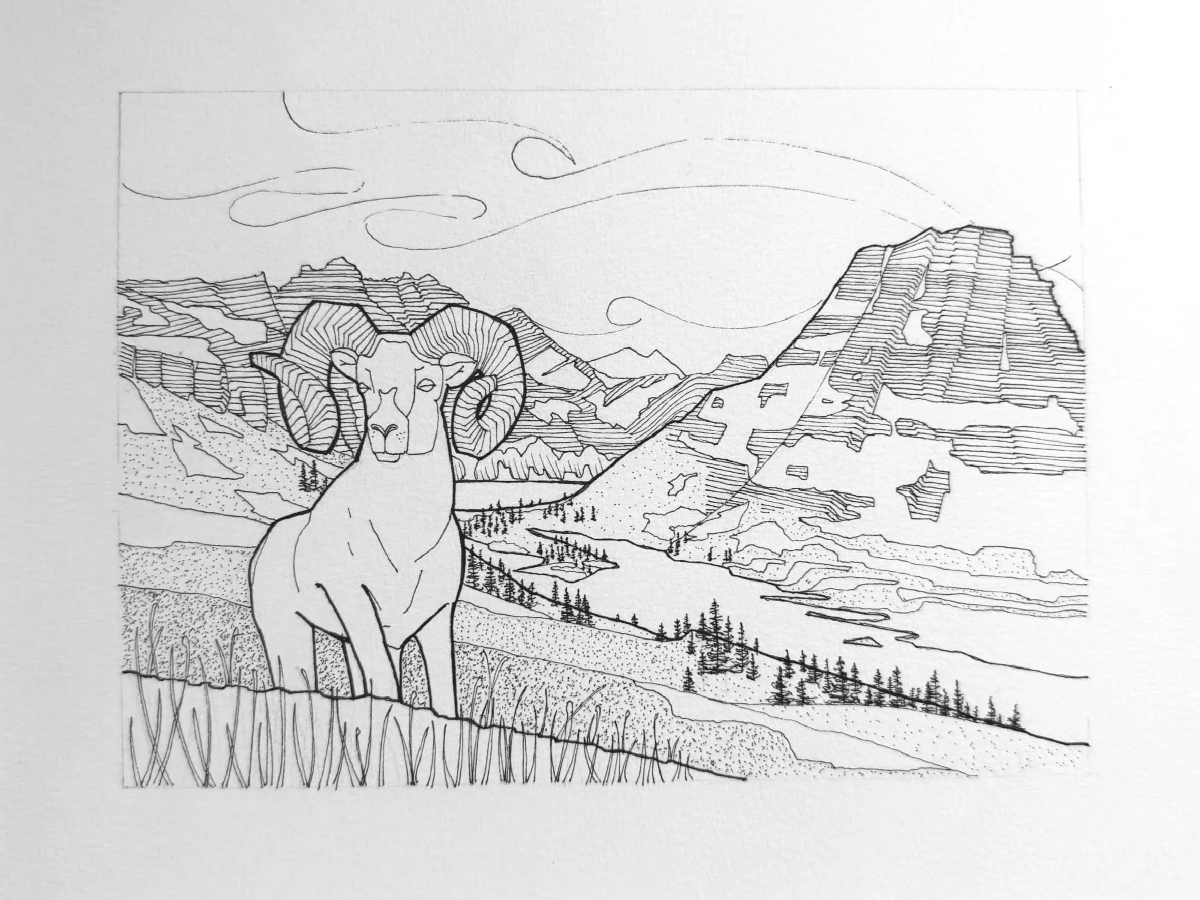 Glacier National Park | 9" x 7" Ink