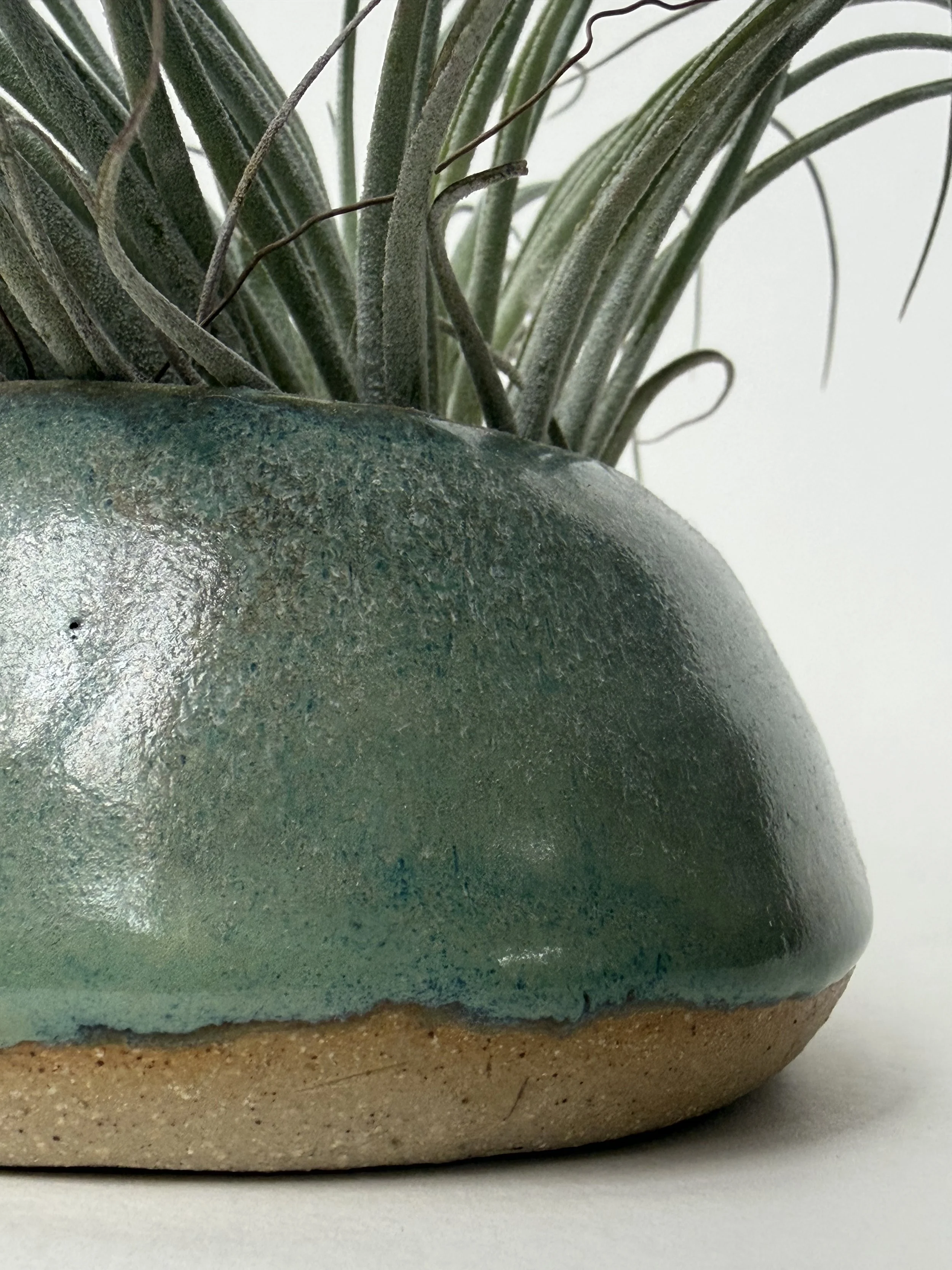 Air Plant Vase | Detail View