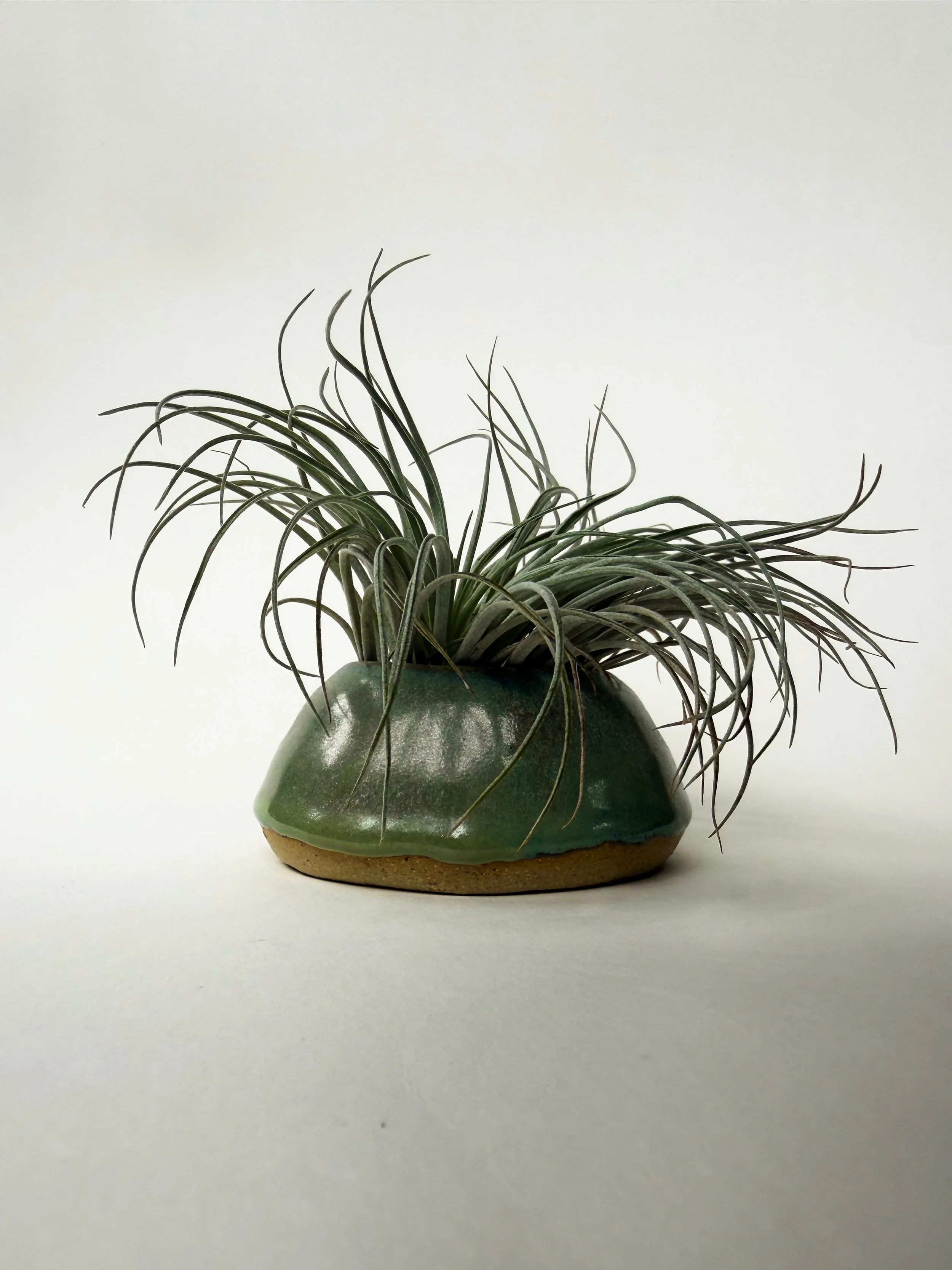 Air Plant Vase | 4" x 2" Stonware