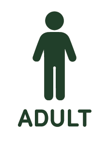 Adult
