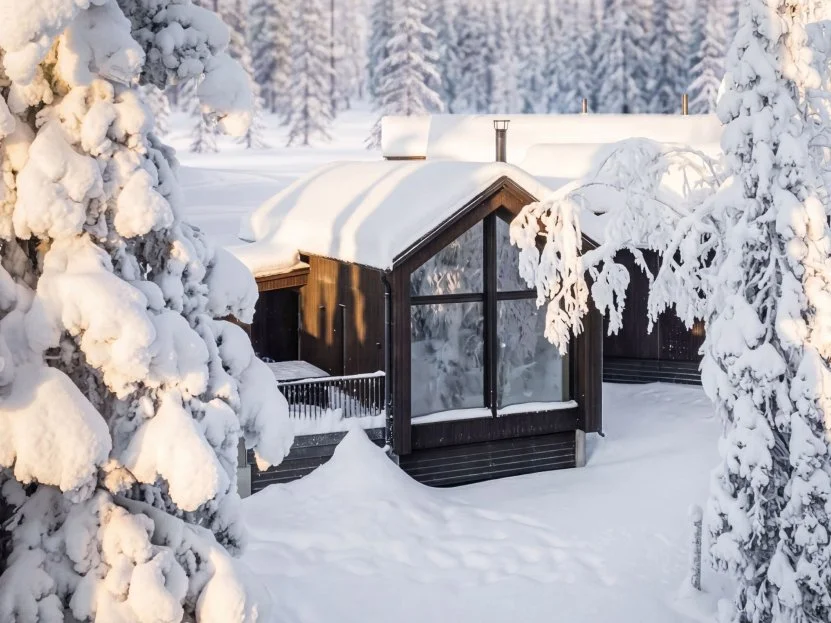 Villa peeking through snow-laden spruce trees on a winter morning.