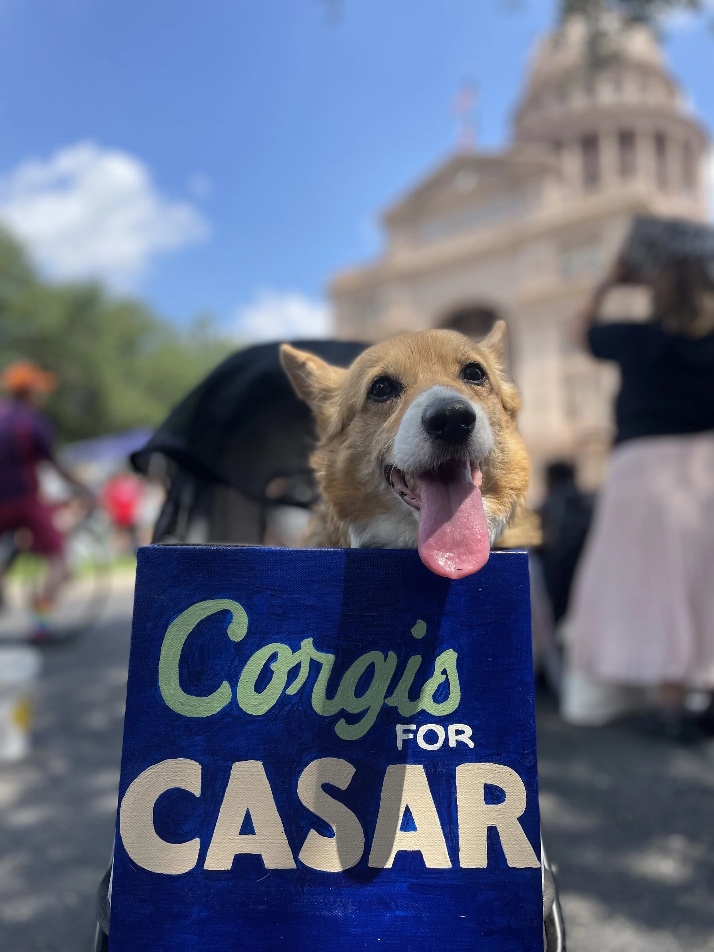 Close-up of a small dog with a tan and white face, tongue out, sitting behind a sign that reads 'Courage for CANDY'. In the blurred background, a large historical building with a dome, blue sky, and a few clouds are visible.