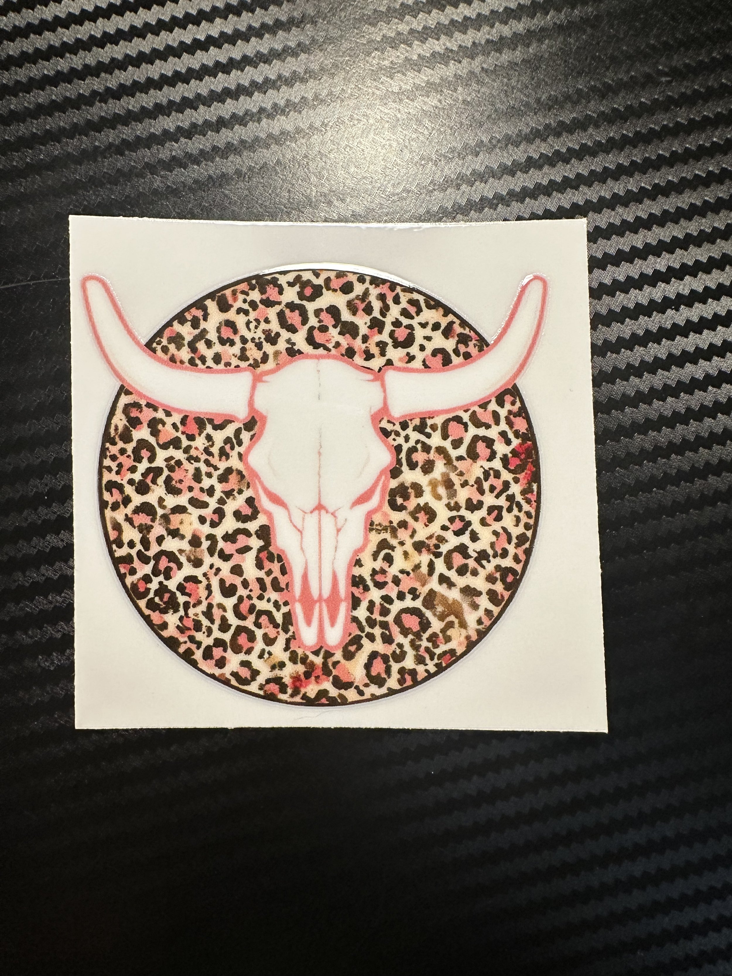 Cheetah skull
