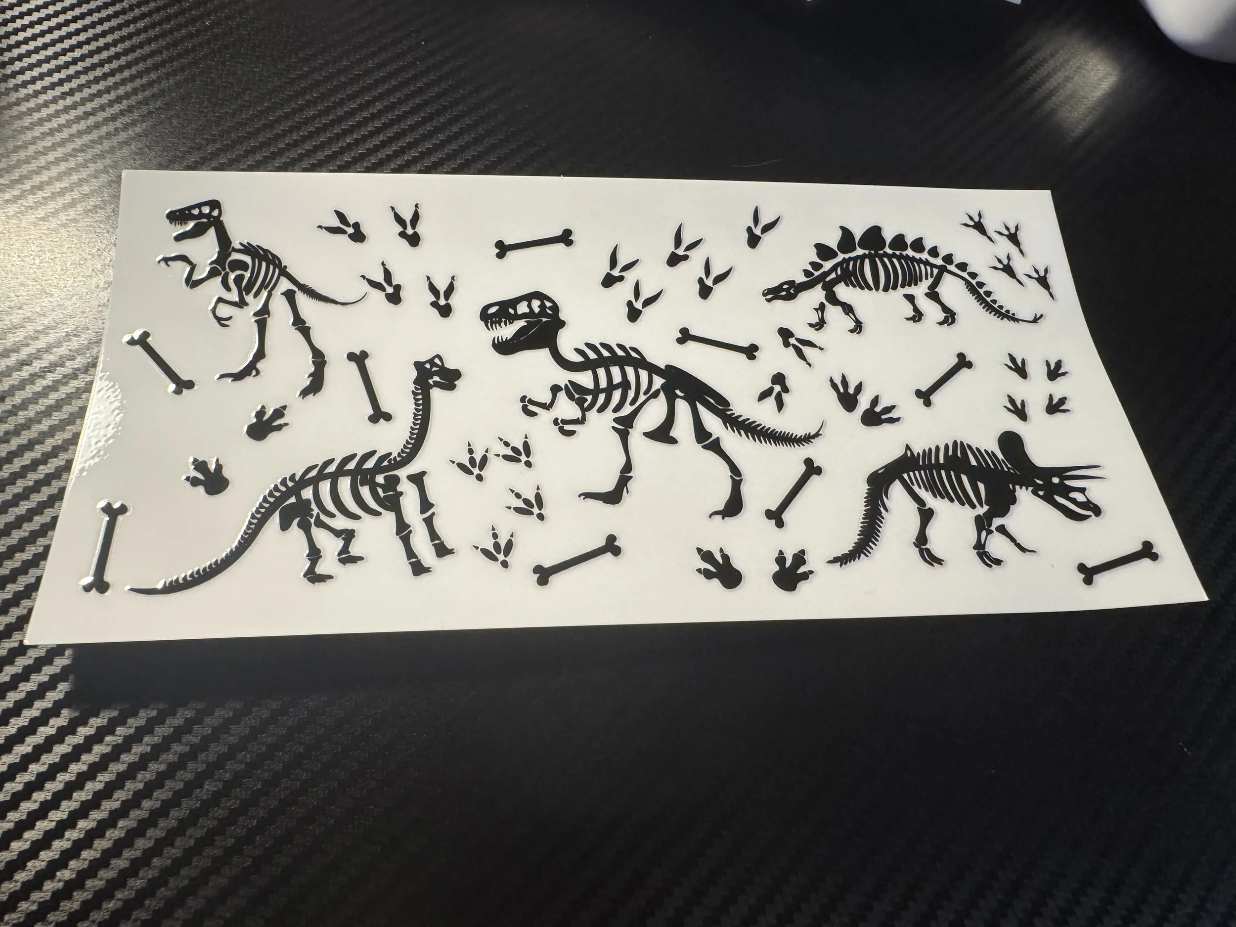 Skeleton Dino’s
