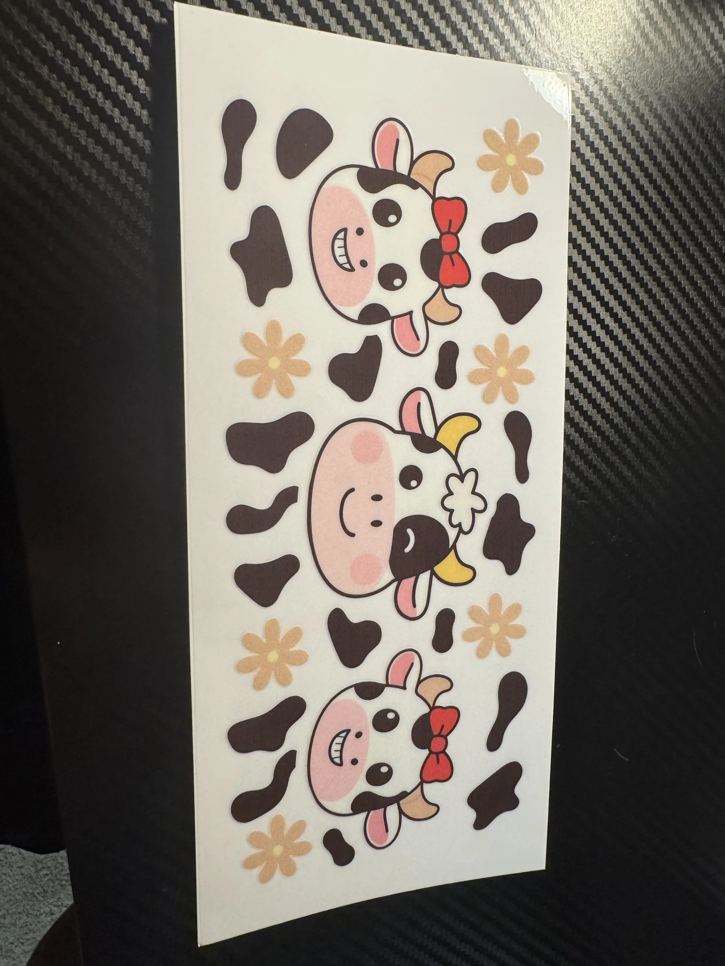Cow #5