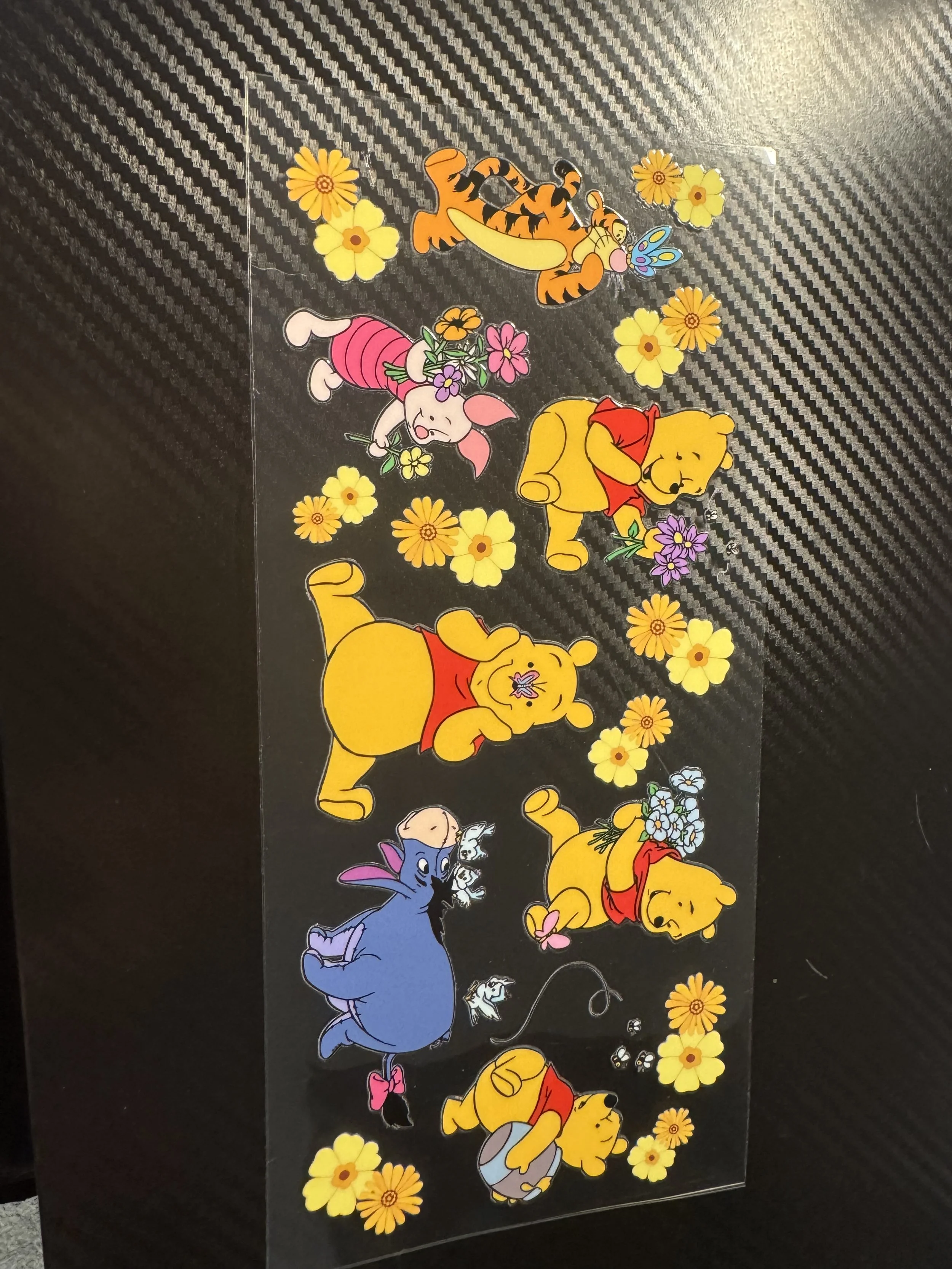Winnie the Poo #3