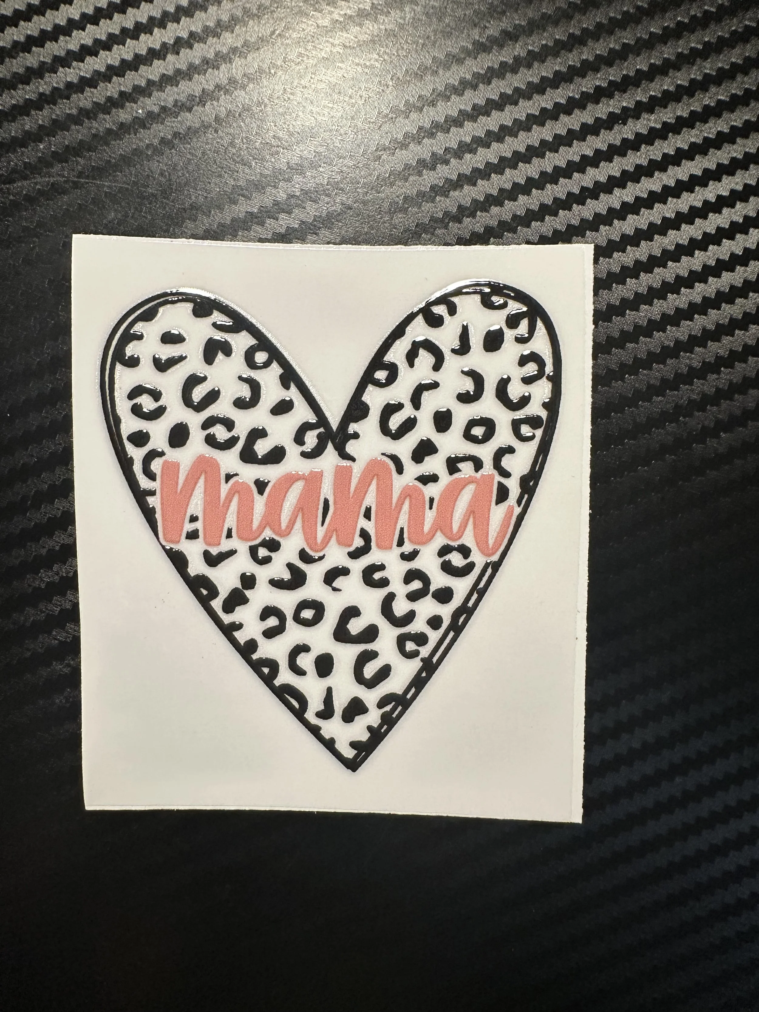 Cheetah mama