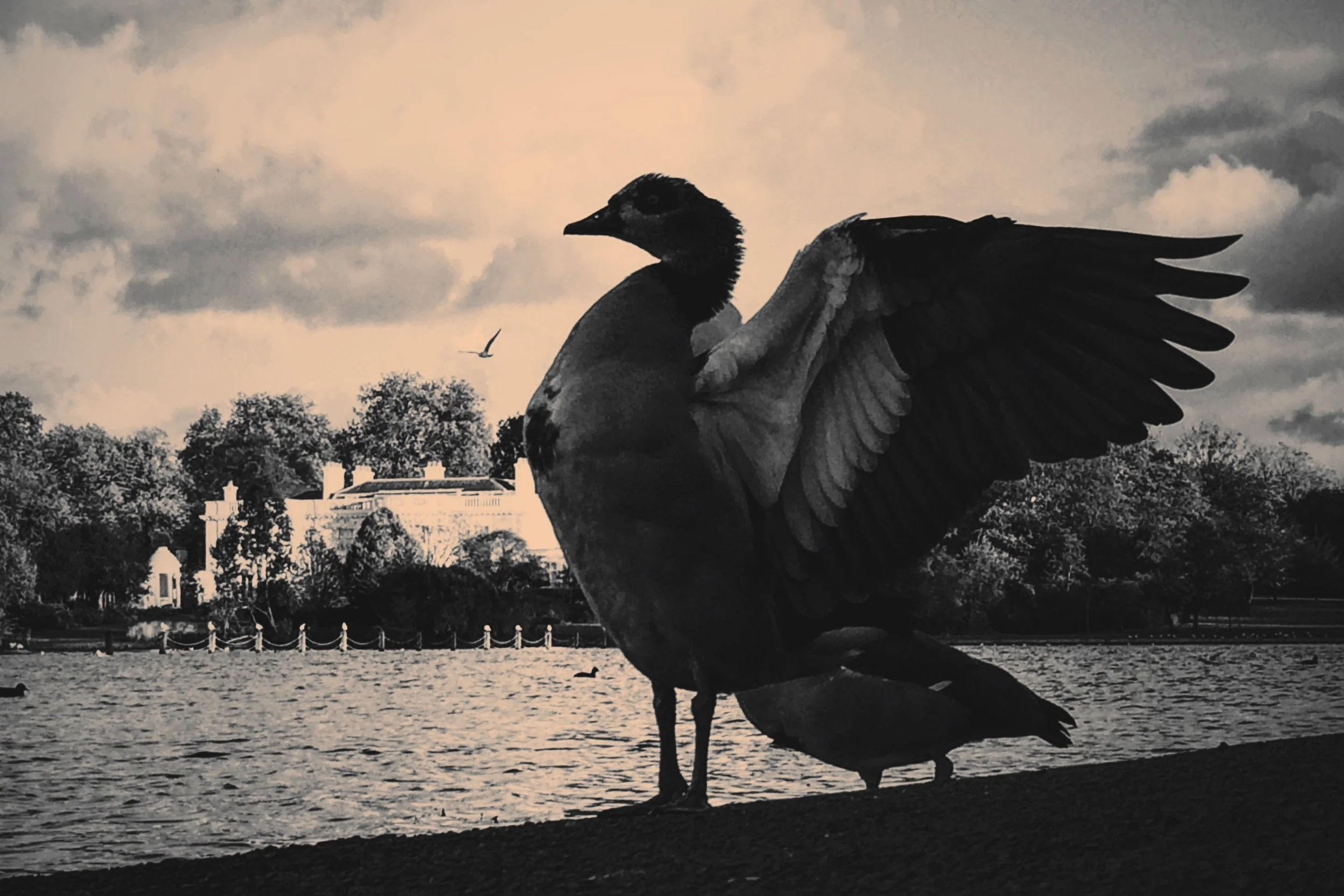 I deleted my LinkedIn in 2019.